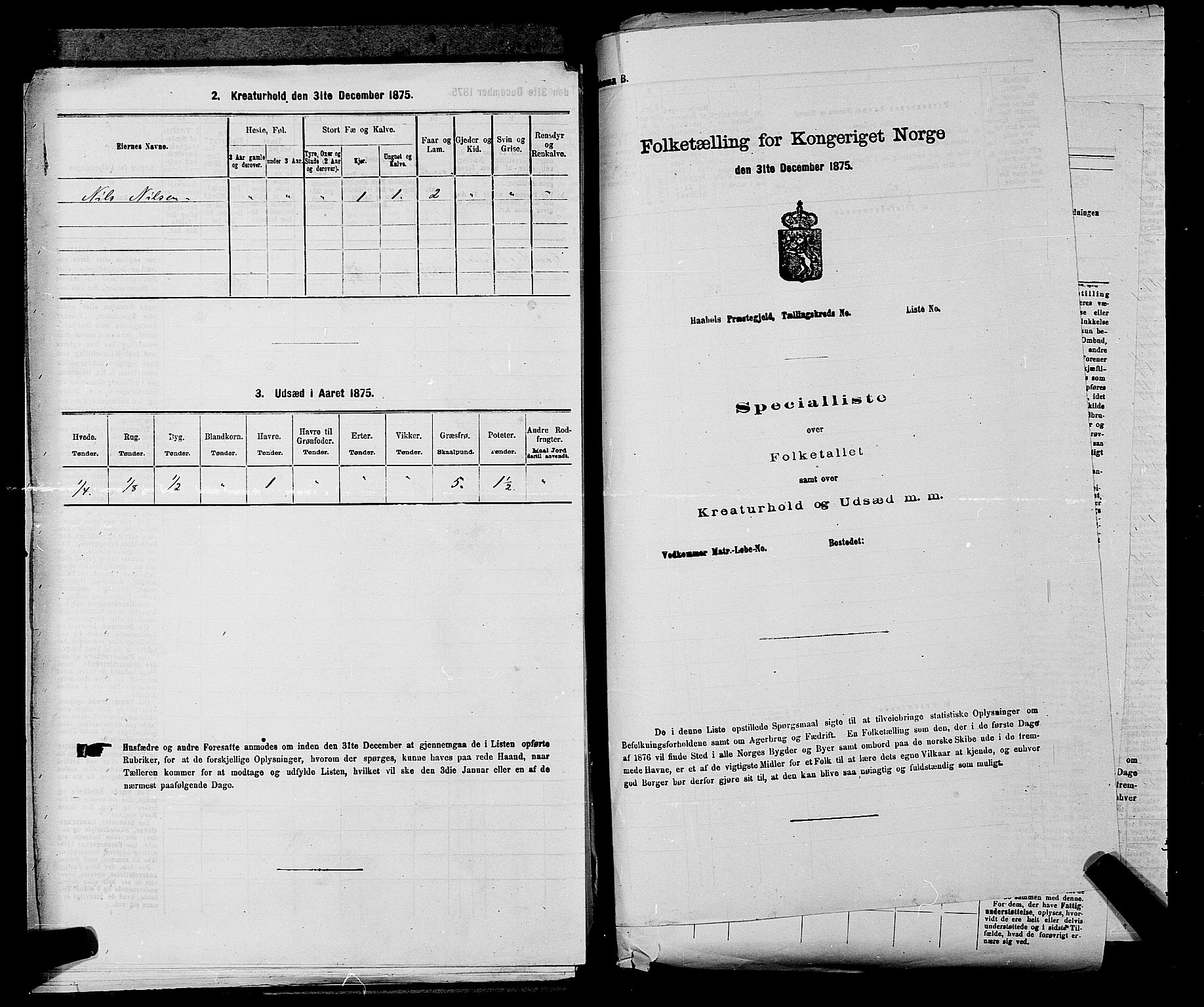 SAKO, 1875 census for 0721P Sem, 1875, p. 217