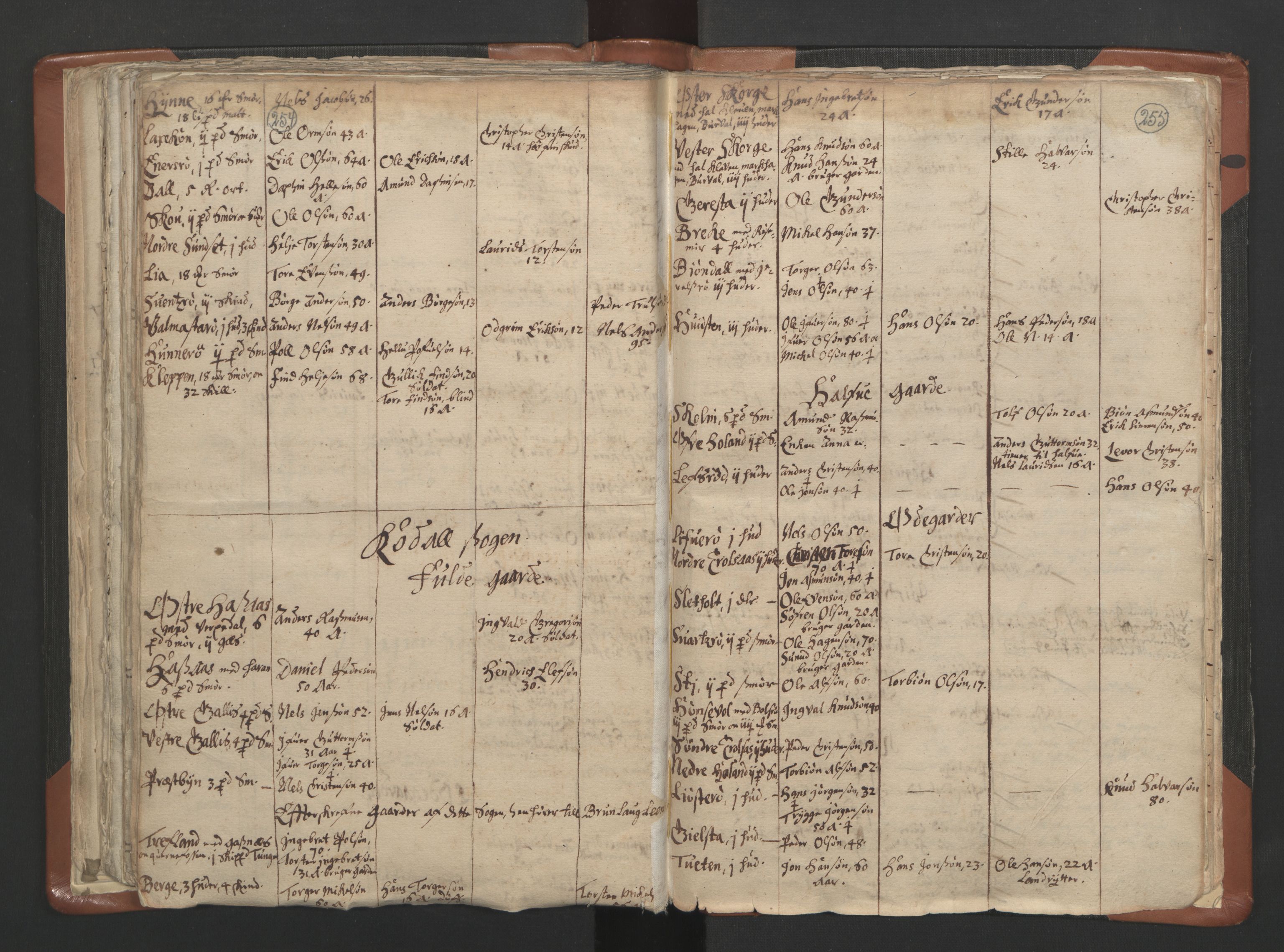 RA, Vicar's Census 1664-1666, no. 10: Tønsberg deanery, 1664-1666, p. 254-255