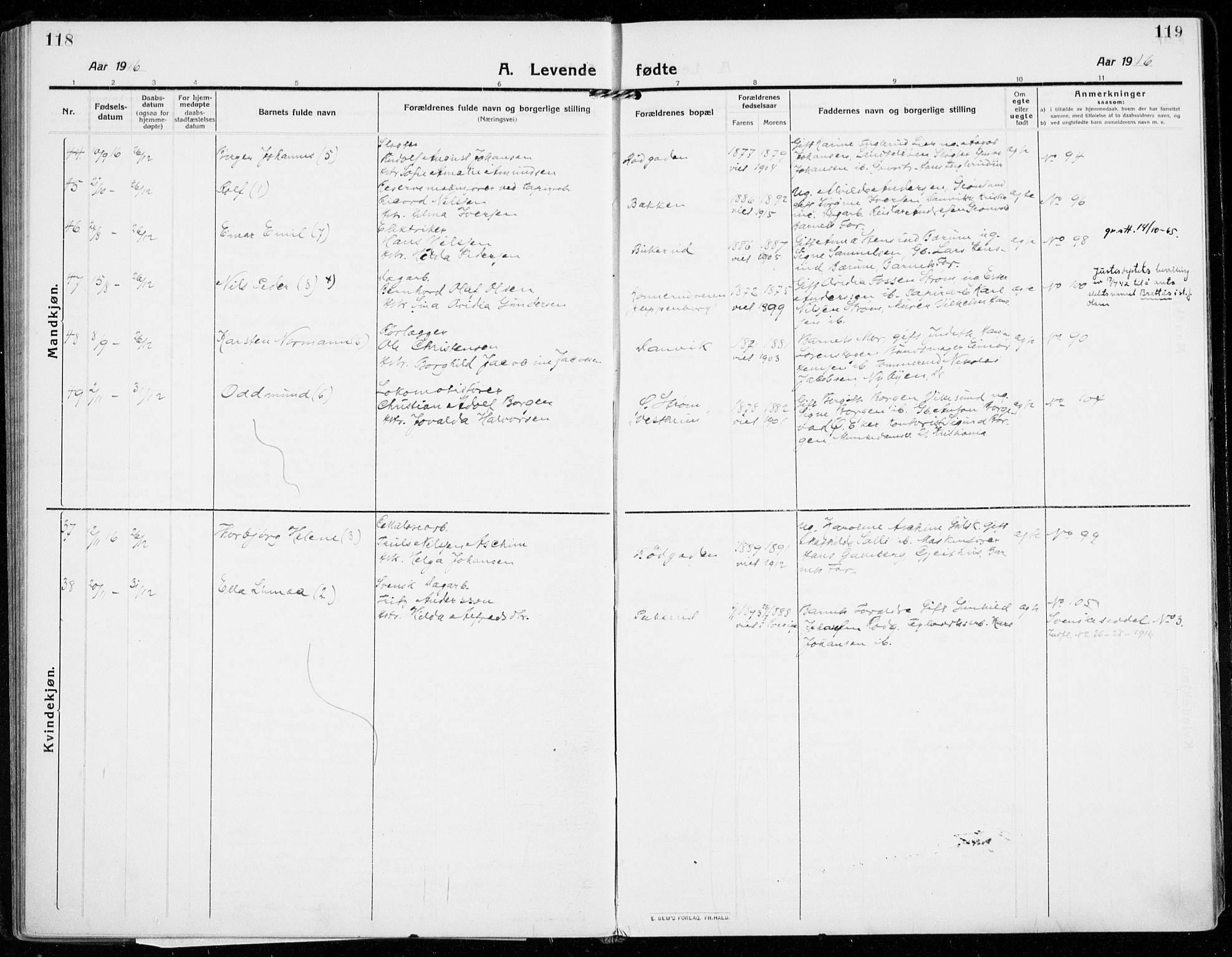 Strømsgodset kirkebøker, AV/SAKO-A-324/F/Fa/L0002: Parish register (official) no. 2, 1910-1920, p. 118-119