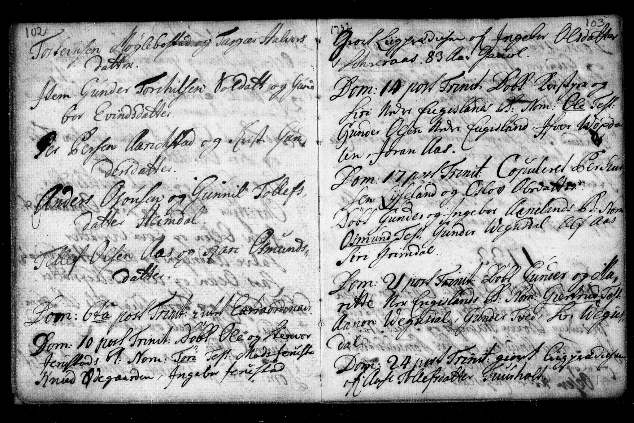 Herefoss sokneprestkontor, AV/SAK-1111-0019/F/Fa/Fab/L0001: Parish register (official) no. A 1, 1704-1779, p. 102-103