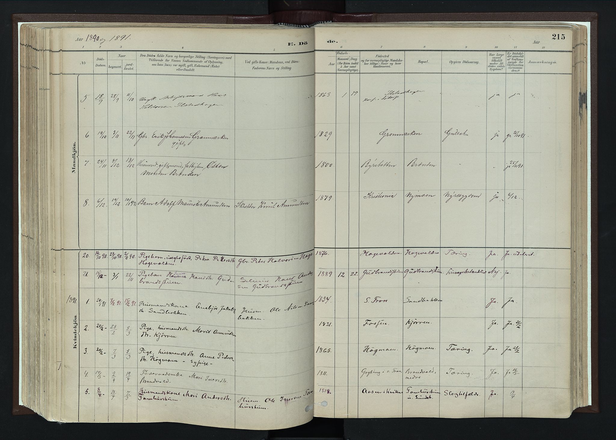 Nord-Fron prestekontor, SAH/PREST-080/H/Ha/Haa/L0004: Parish register (official) no. 4, 1884-1914, p. 215