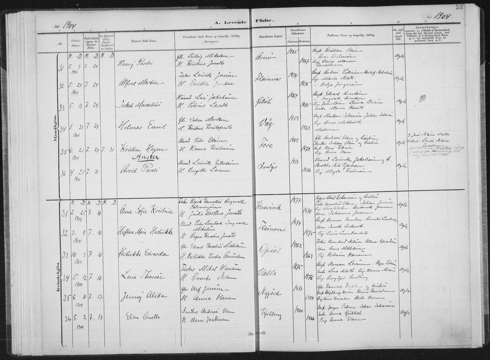 Ministerialprotokoller, klokkerbøker og fødselsregistre - Nordland, AV/SAT-A-1459/805/L0102: Parish register (official) no. 805A08I, 1900-1909, p. 53