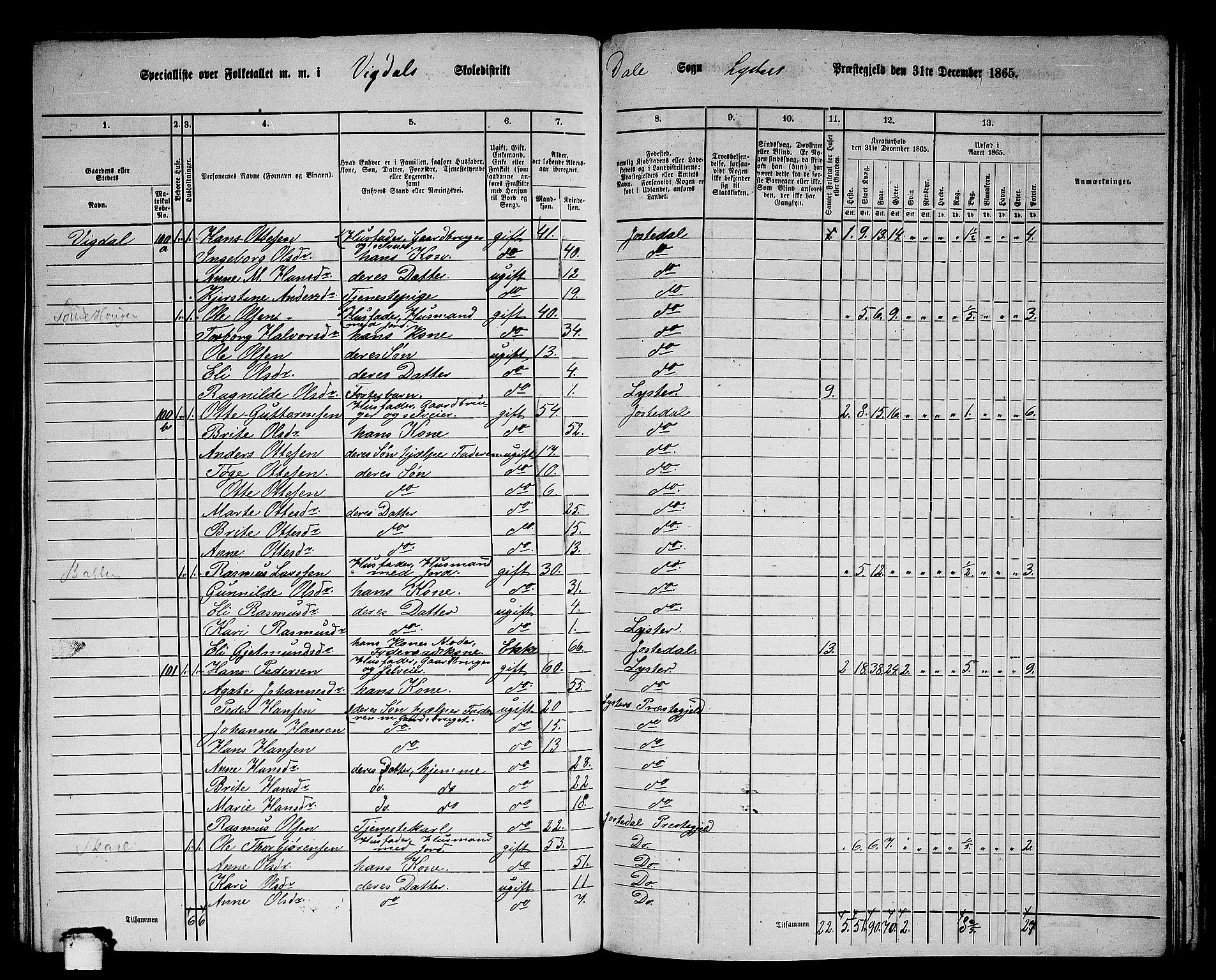 RA, 1865 census for Luster, 1865, p. 114