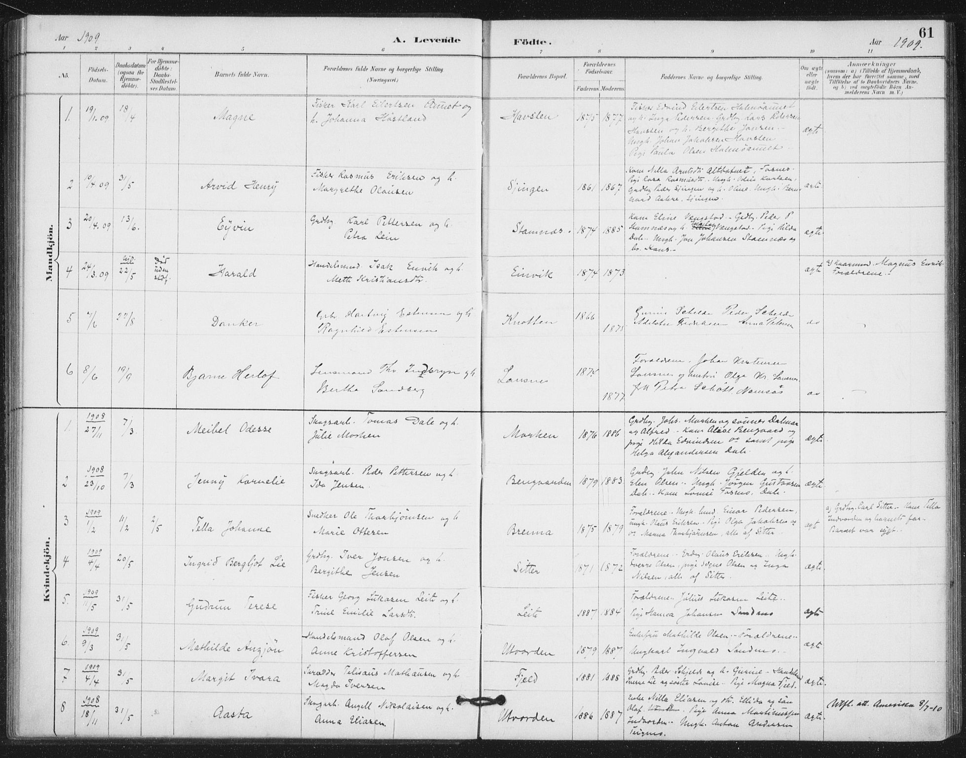Ministerialprotokoller, klokkerbøker og fødselsregistre - Nord-Trøndelag, SAT/A-1458/772/L0603: Parish register (official) no. 772A01, 1885-1912, p. 61