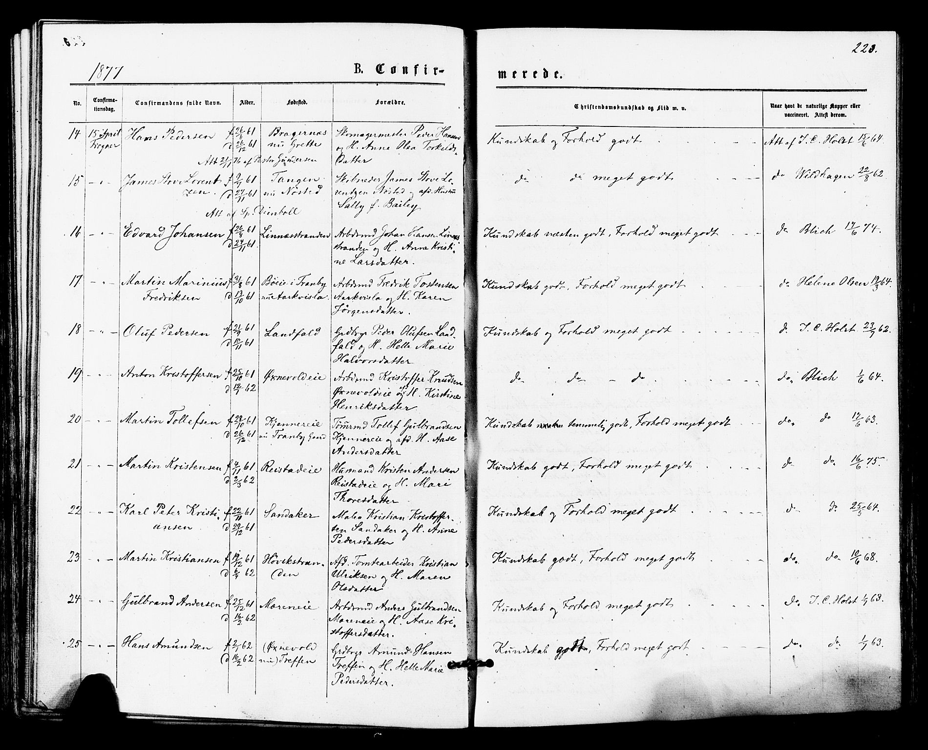 Lier kirkebøker, SAKO/A-230/F/Fa/L0014: Parish register (official) no. I 14, 1875-1882, p. 223