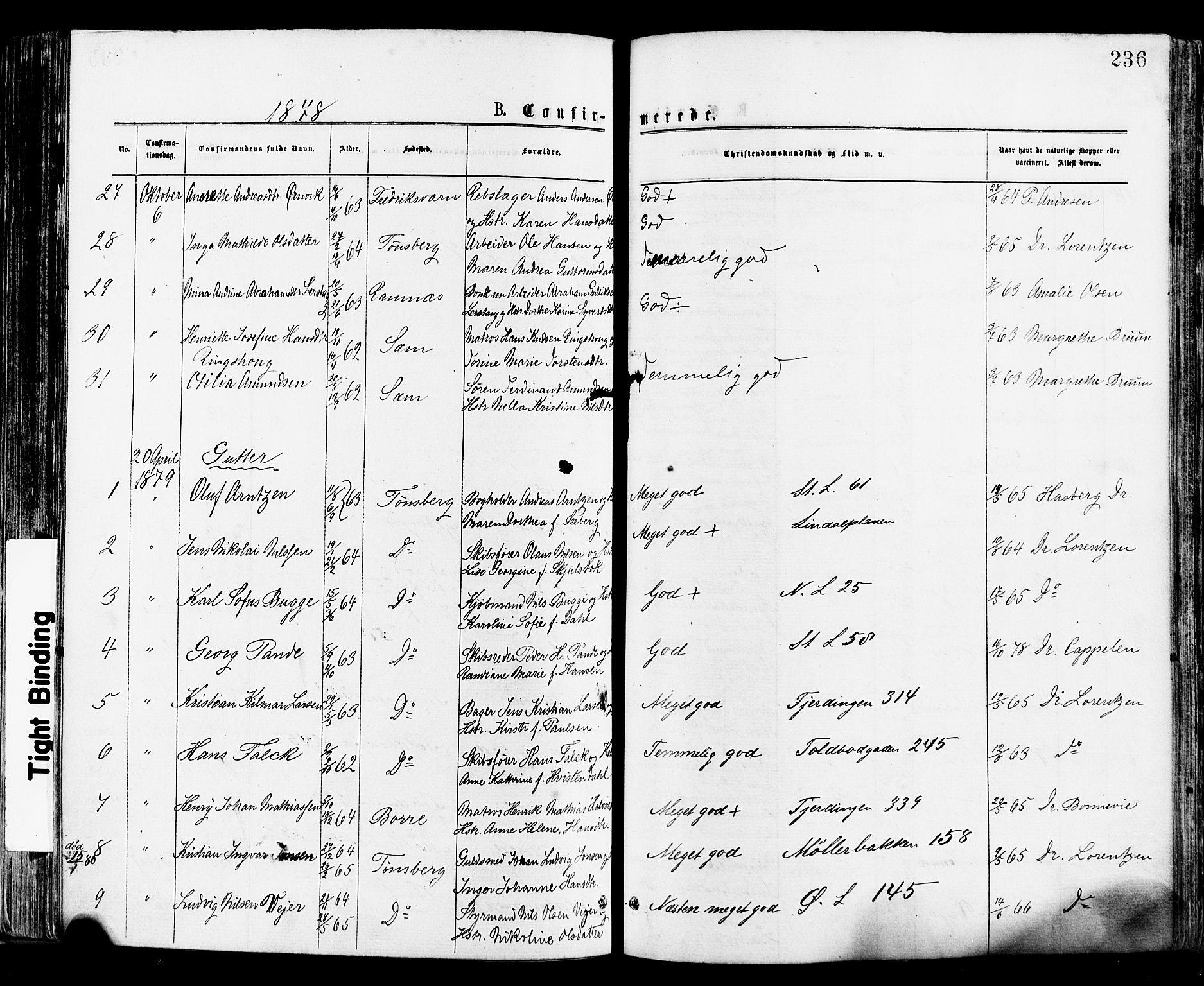 Tønsberg kirkebøker, SAKO/A-330/F/Fa/L0010: Parish register (official) no. I 10, 1874-1880, p. 236