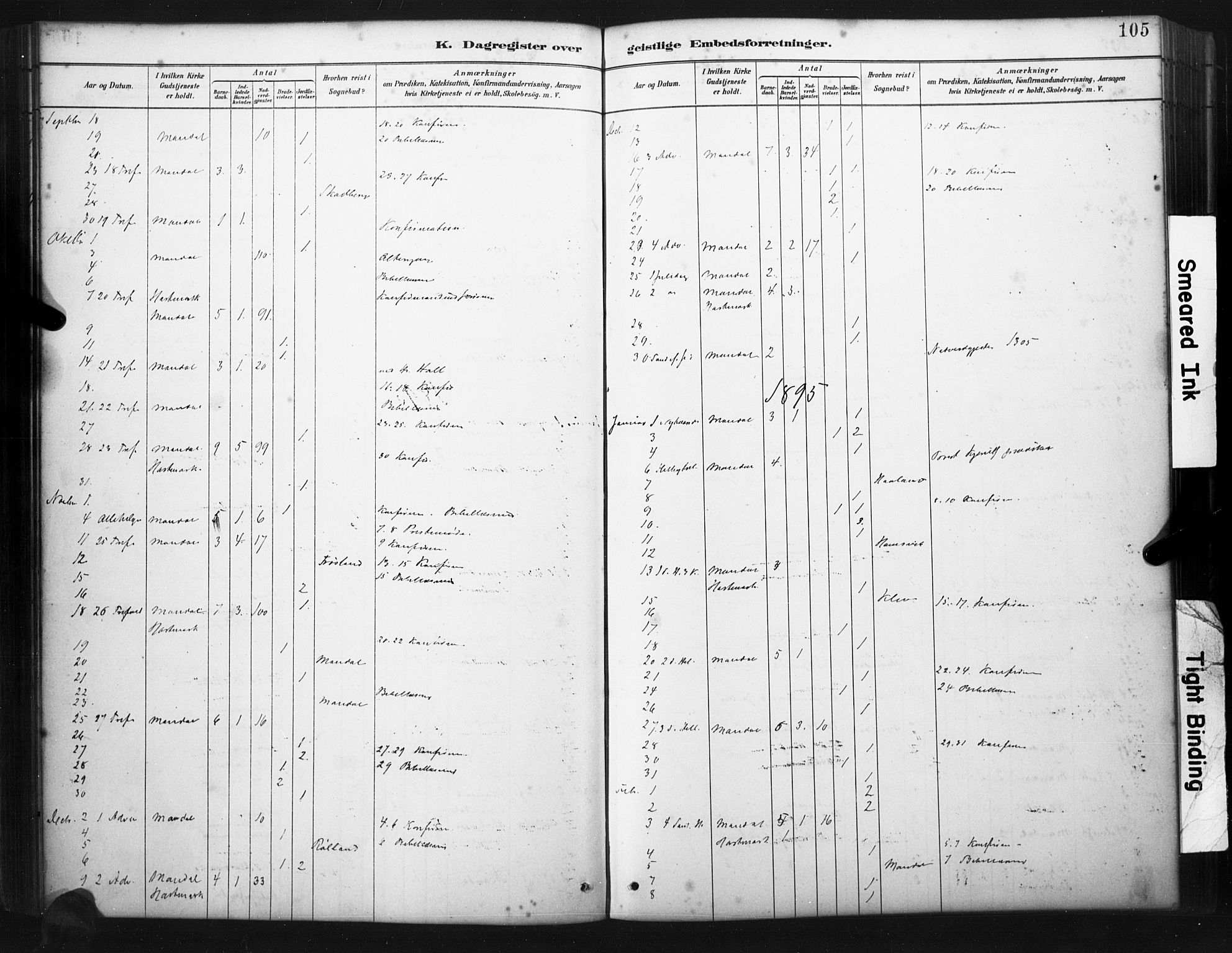 Mandal sokneprestkontor, SAK/1111-0030/F/Fa/Faa/L0017: Parish register (official) no. A 17, 1880-1926, p. 105