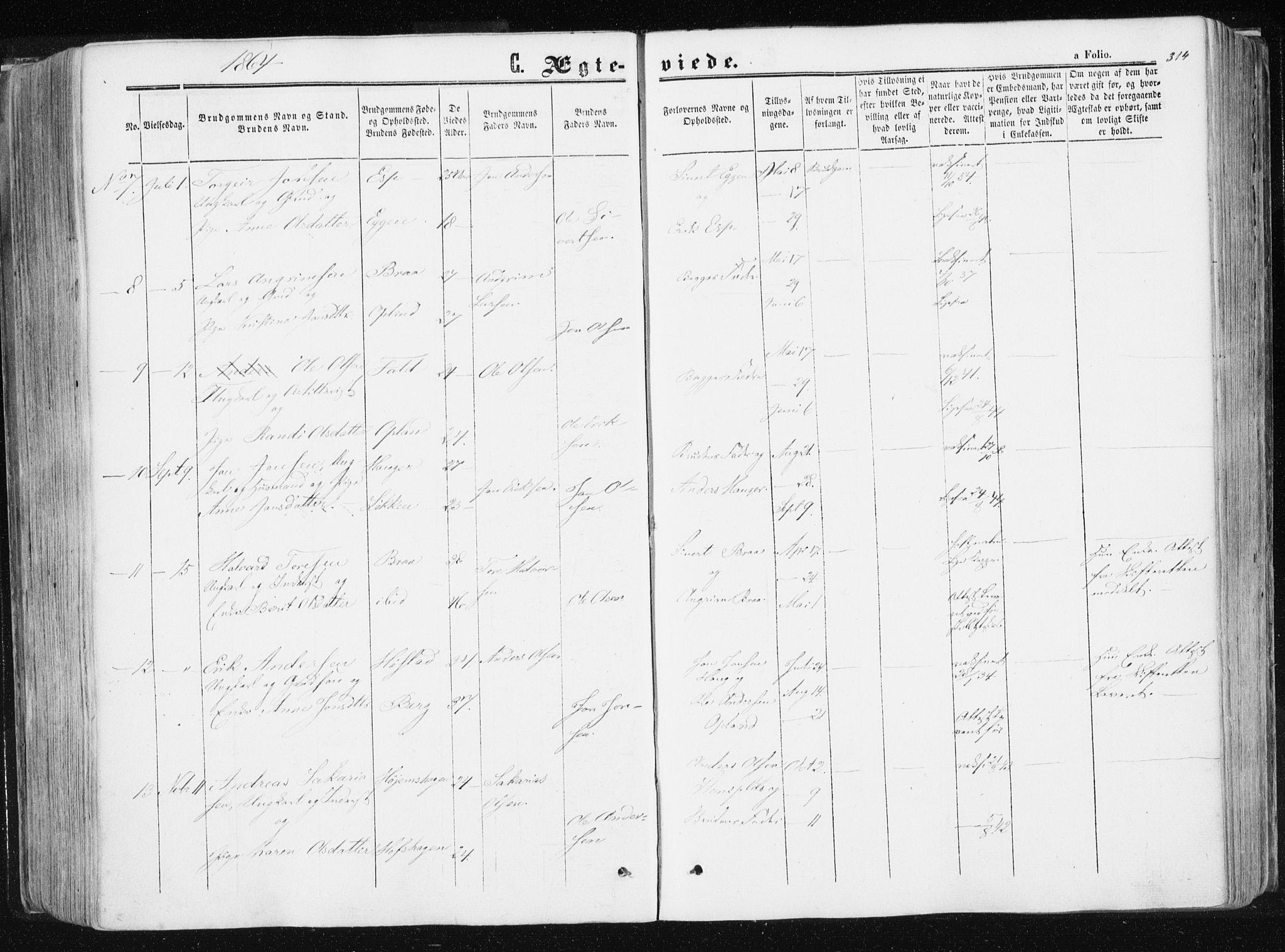 Ministerialprotokoller, klokkerbøker og fødselsregistre - Sør-Trøndelag, SAT/A-1456/612/L0377: Parish register (official) no. 612A09, 1859-1877, p. 314