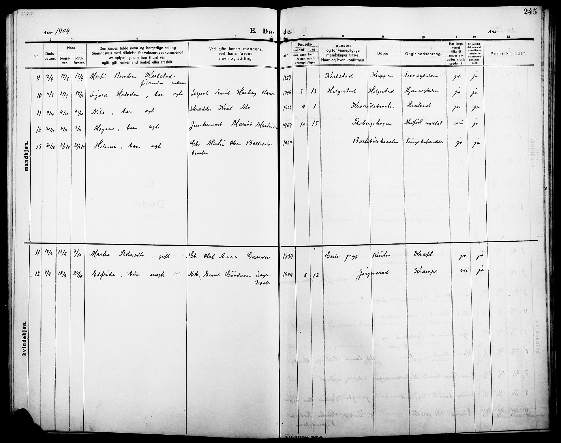 Åsnes prestekontor, SAH/PREST-042/H/Ha/Hab/L0007: Parish register (copy) no. 7, 1909-1926, p. 245
