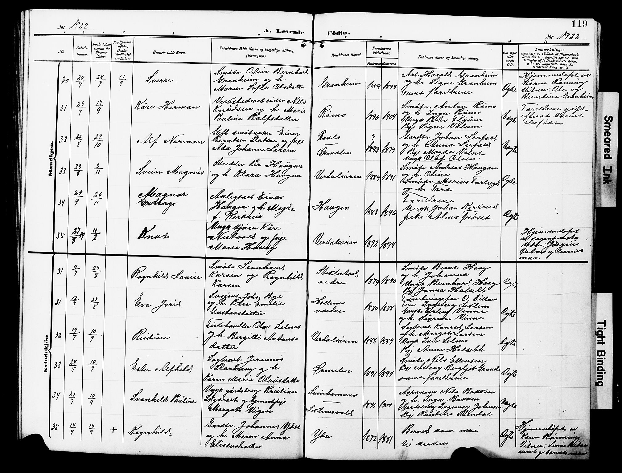 Ministerialprotokoller, klokkerbøker og fødselsregistre - Nord-Trøndelag, AV/SAT-A-1458/723/L0258: Parish register (copy) no. 723C06, 1908-1927, p. 119