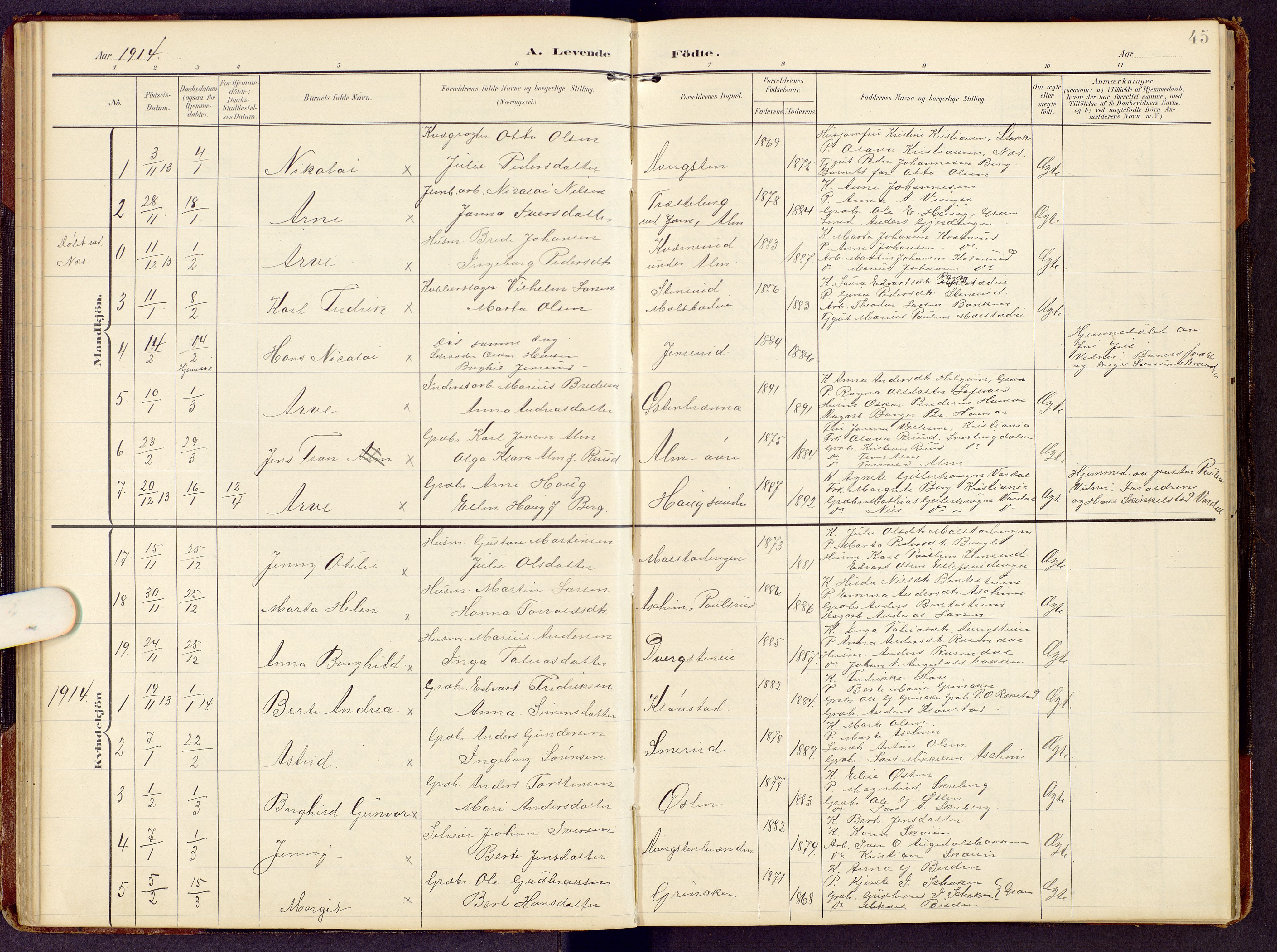 Brandbu prestekontor, SAH/PREST-114/H/Ha/Hab/L0009: Parish register (copy) no. 9, 1903-1916, p. 45