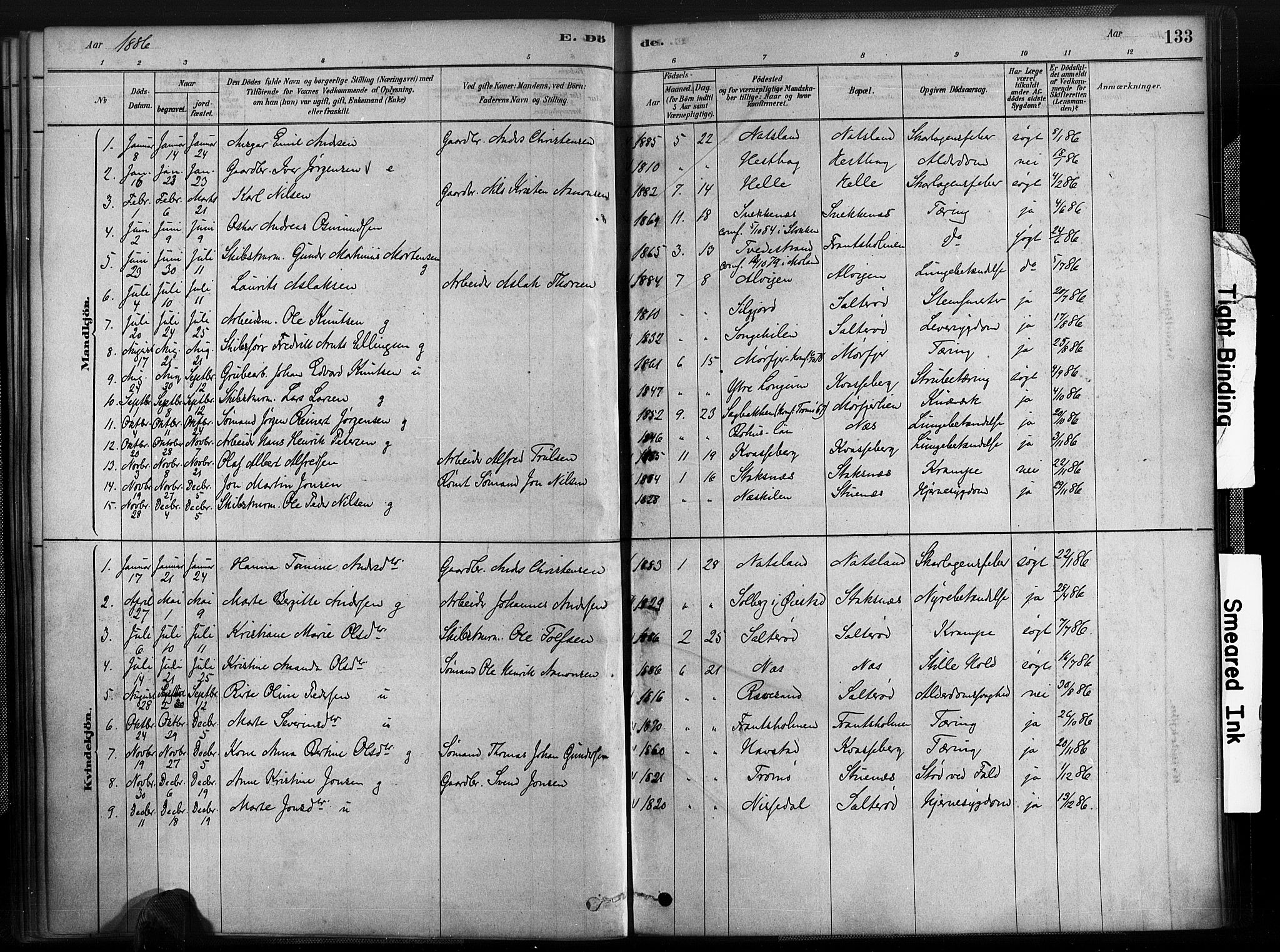 Austre Moland sokneprestkontor, SAK/1111-0001/F/Fa/Fab/L0001: Parish register (official) no. A 1, 1878-1898, p. 133