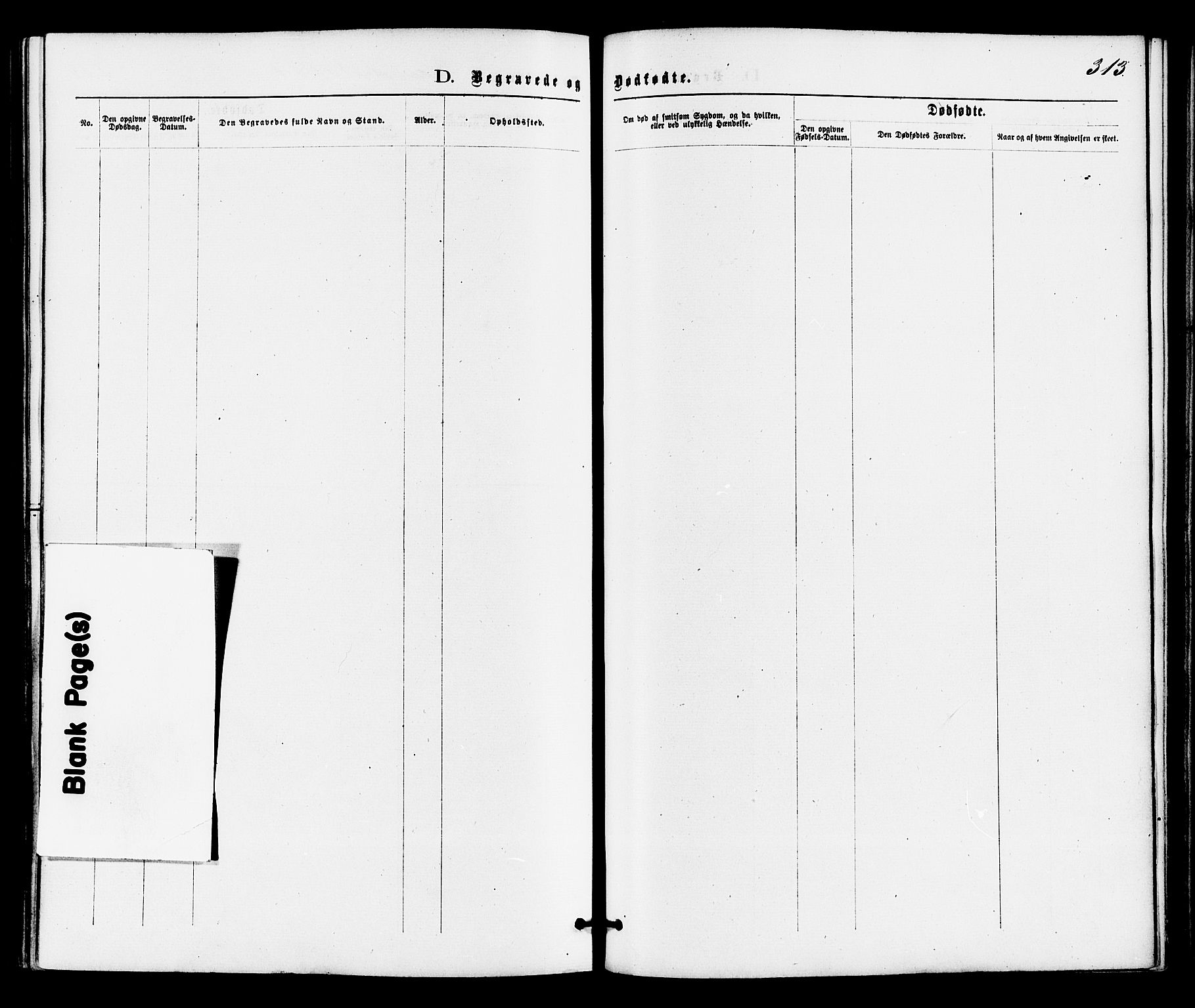 Drangedal kirkebøker, SAKO/A-258/F/Fa/L0009: Parish register (official) no. 9 /1, 1872-1884, p. 313