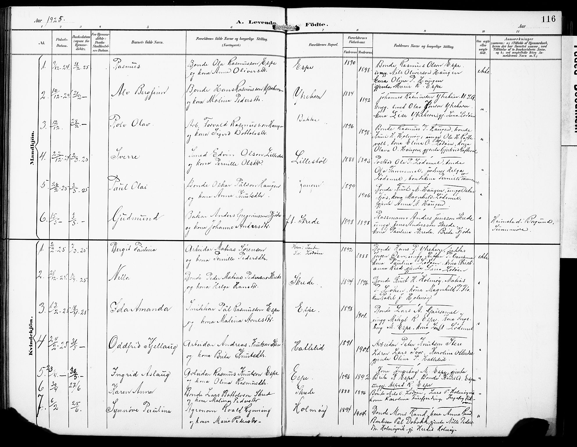 Hornindal sokneprestembete, SAB/A-82401/H/Hab: Parish register (copy) no. A 2, 1894-1927, p. 116