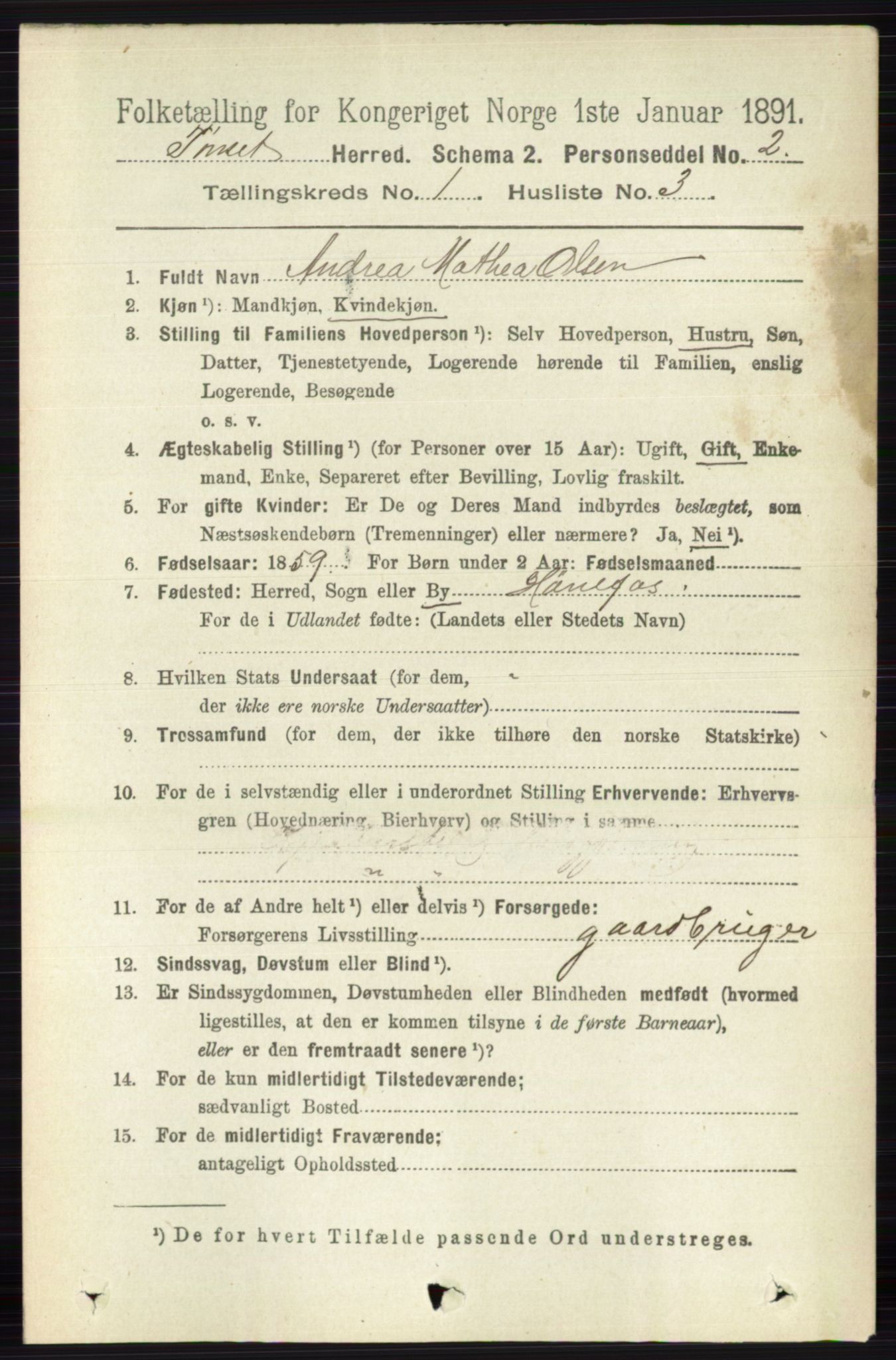 RA, 1891 census for 0437 Tynset, 1891, p. 92