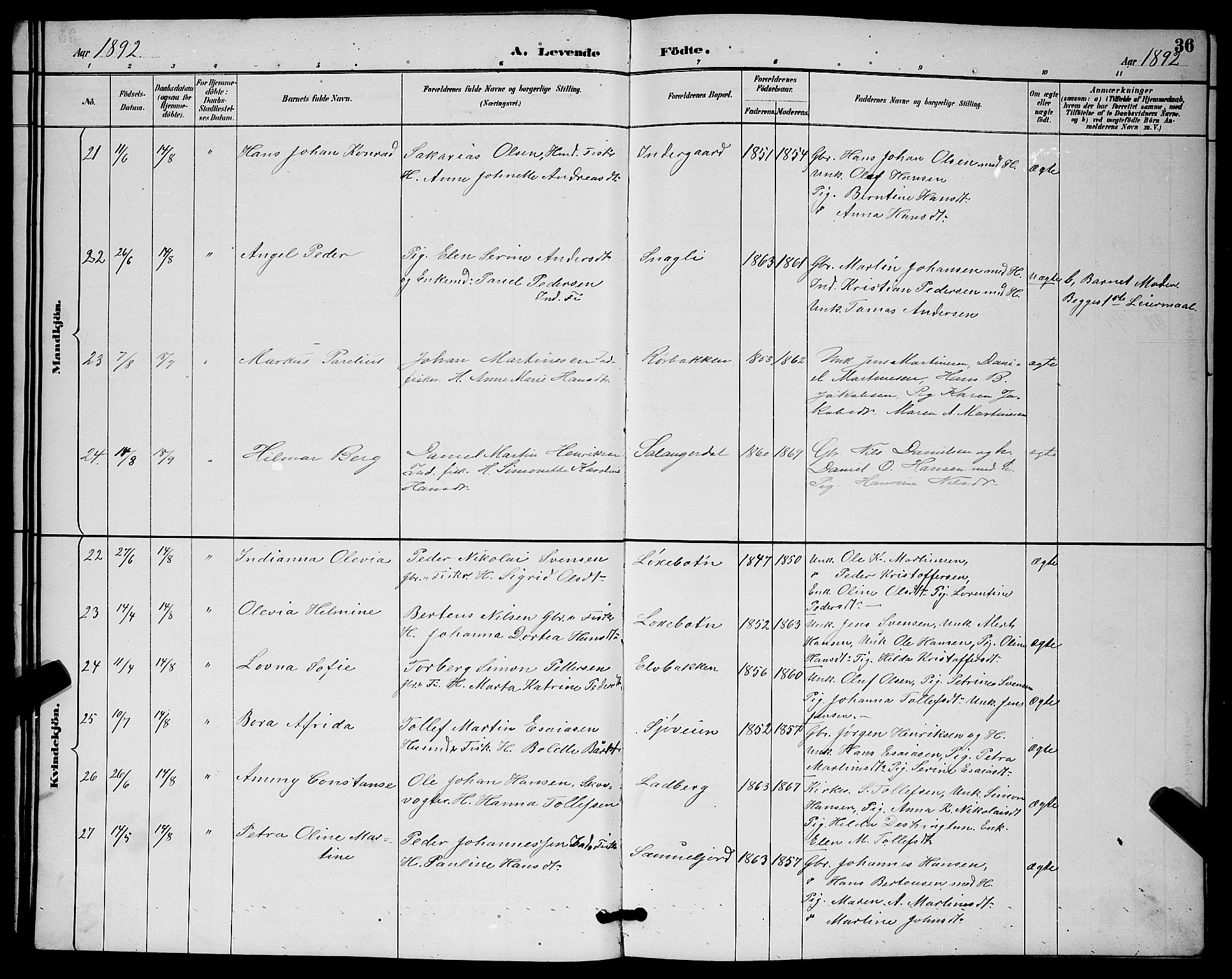 Ibestad sokneprestembete, AV/SATØ-S-0077/H/Ha/Hab/L0015klokker: Parish register (copy) no. 15, 1888-1899, p. 36