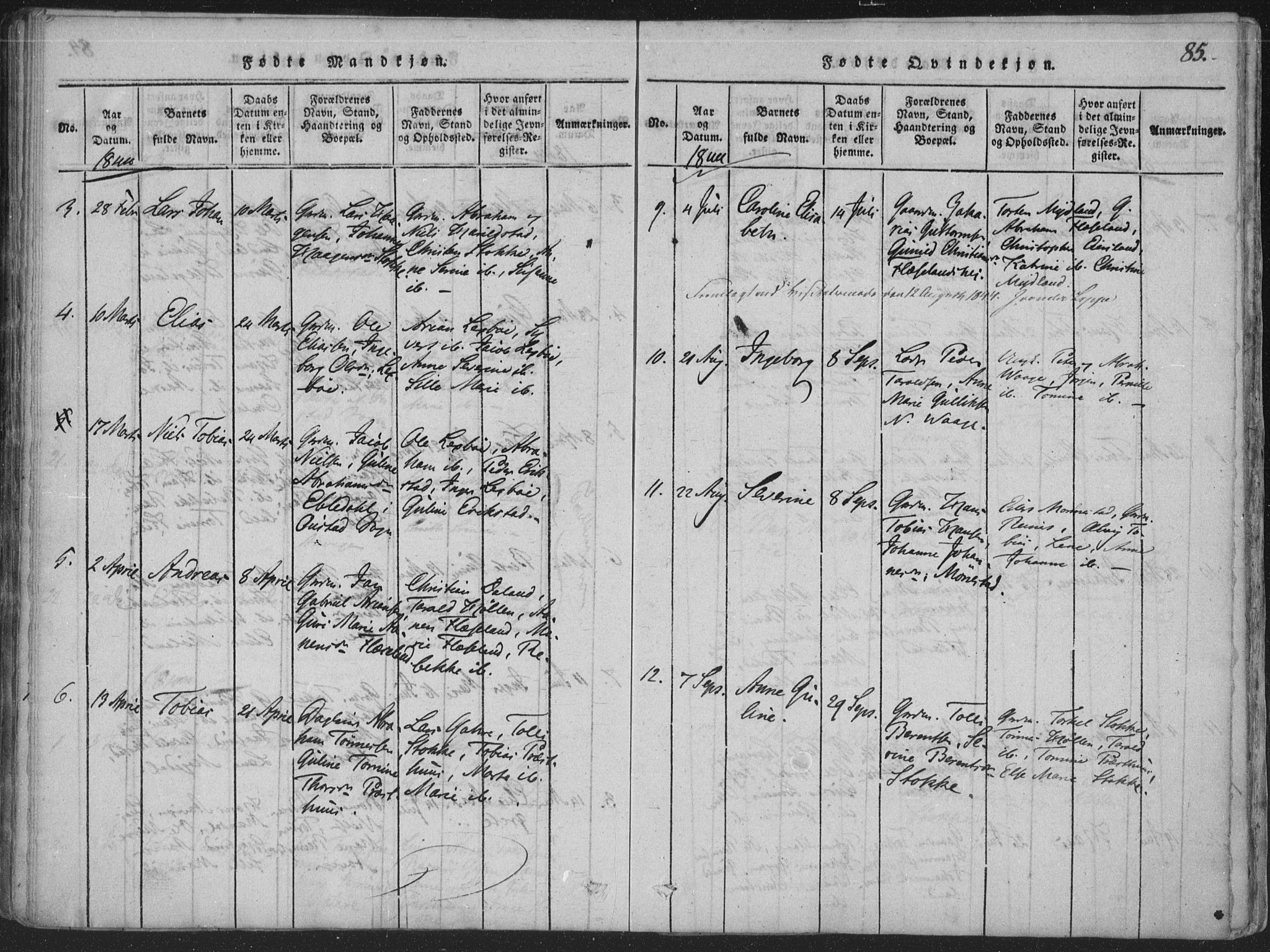 Sør-Audnedal sokneprestkontor, AV/SAK-1111-0039/F/Fa/Faa/L0001: Parish register (official) no. A 1, 1816-1848, p. 85