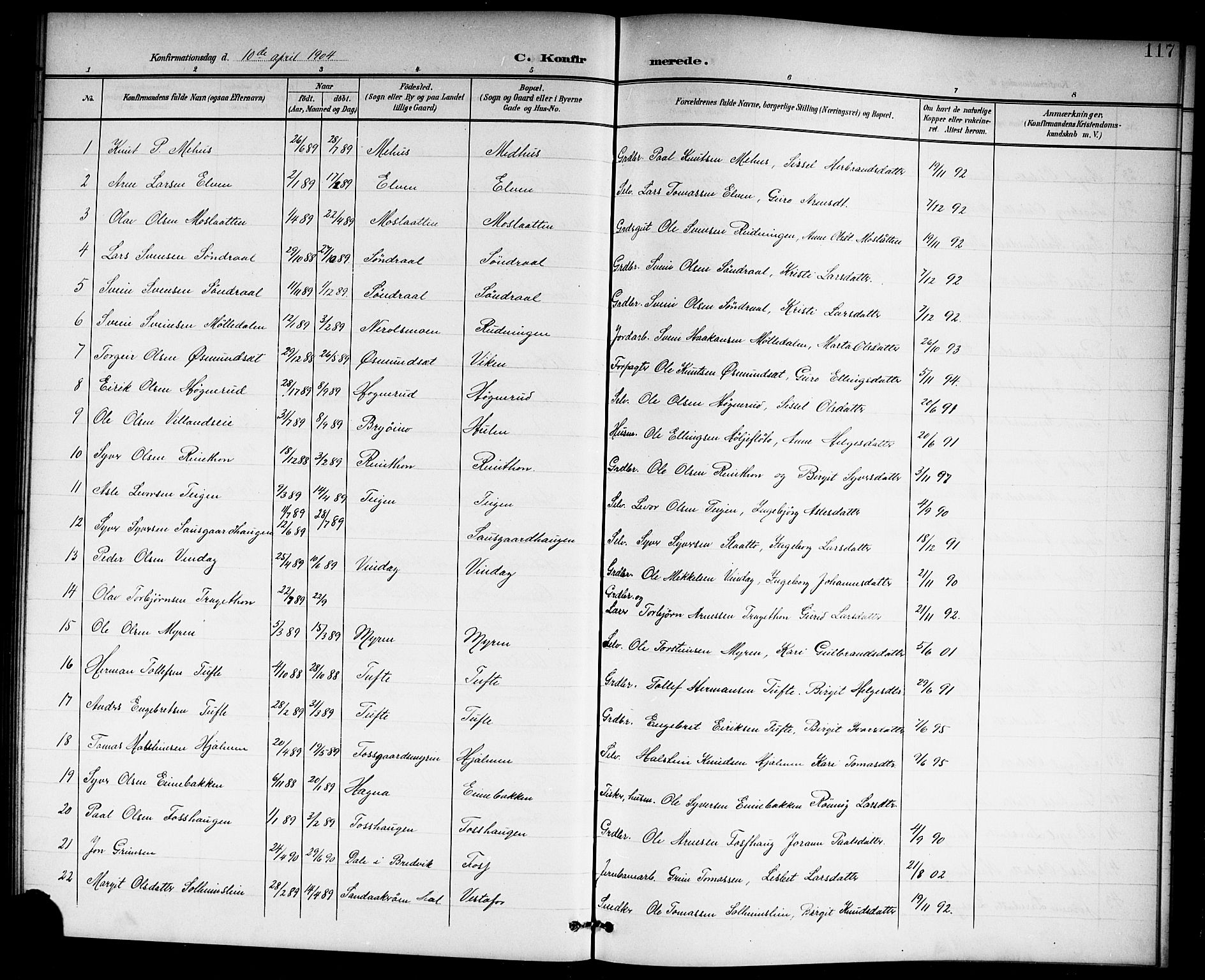 Hol kirkebøker, AV/SAKO-A-227/G/Ga/L0001: Parish register (copy) no. I 1, 1900-1919, p. 117