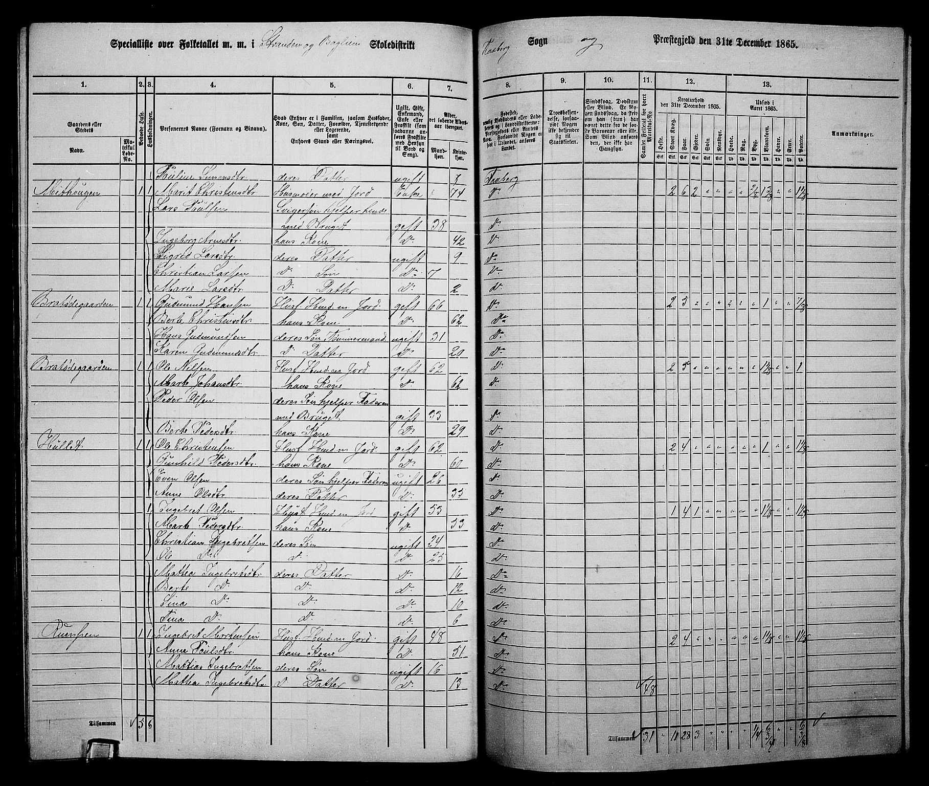 RA, 1865 census for Fåberg/Fåberg og Lillehammer, 1865, p. 251