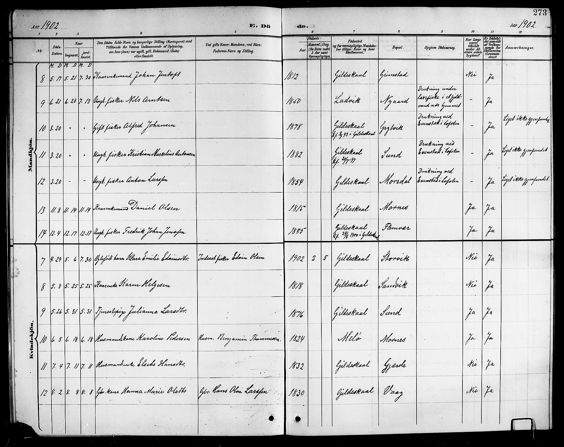 Ministerialprotokoller, klokkerbøker og fødselsregistre - Nordland, AV/SAT-A-1459/805/L0109: Parish register (copy) no. 805C05, 1900-1911, p. 273