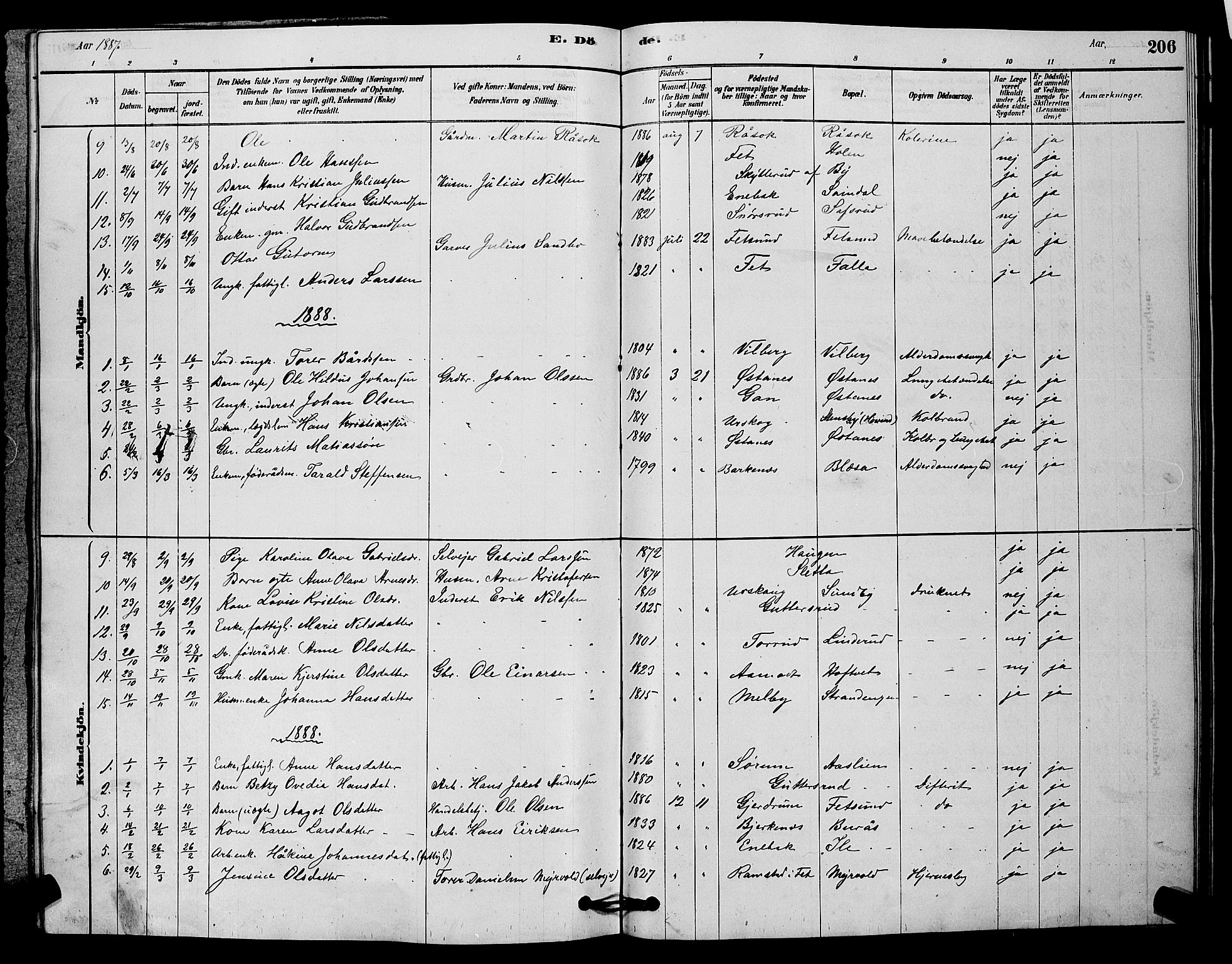 Fet prestekontor Kirkebøker, AV/SAO-A-10370a/G/Ga/L0006: Parish register (copy) no. I 6, 1878-1891, p. 206