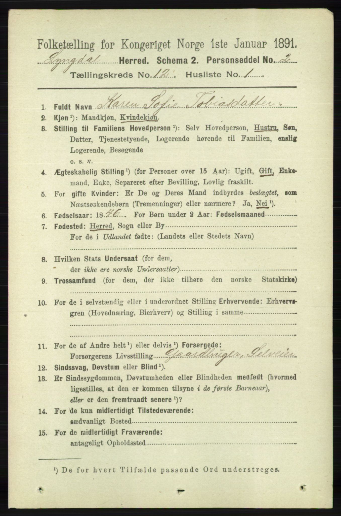 RA, 1891 census for 1032 Lyngdal, 1891, p. 5258