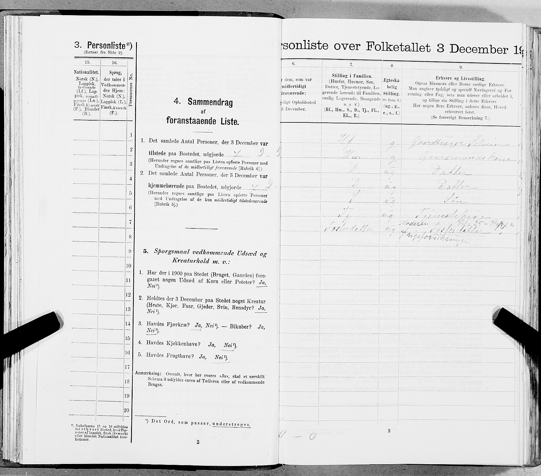 SAT, 1900 census for Hemnes, 1900, p. 514