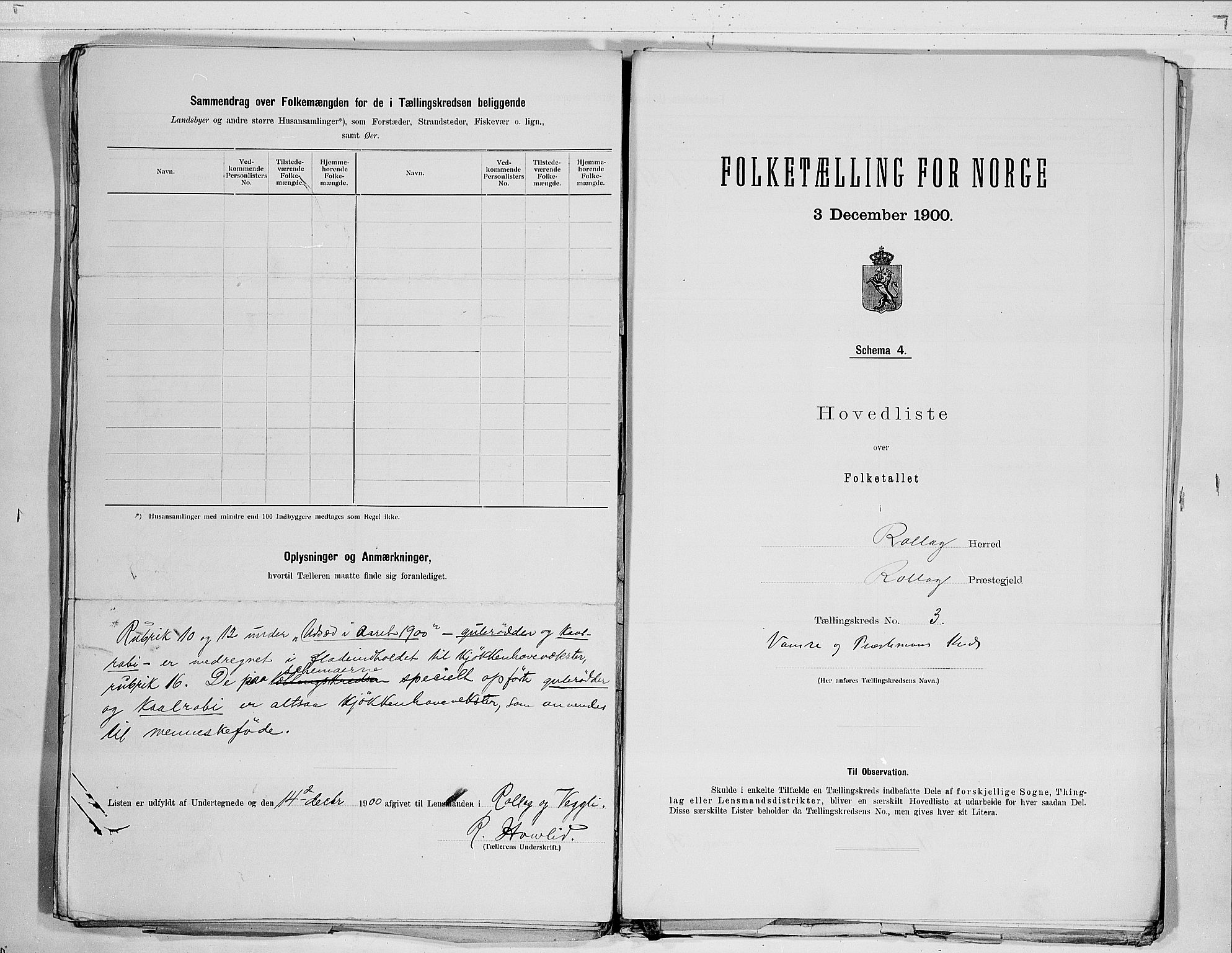 RA, 1900 census for Rollag, 1900, p. 10