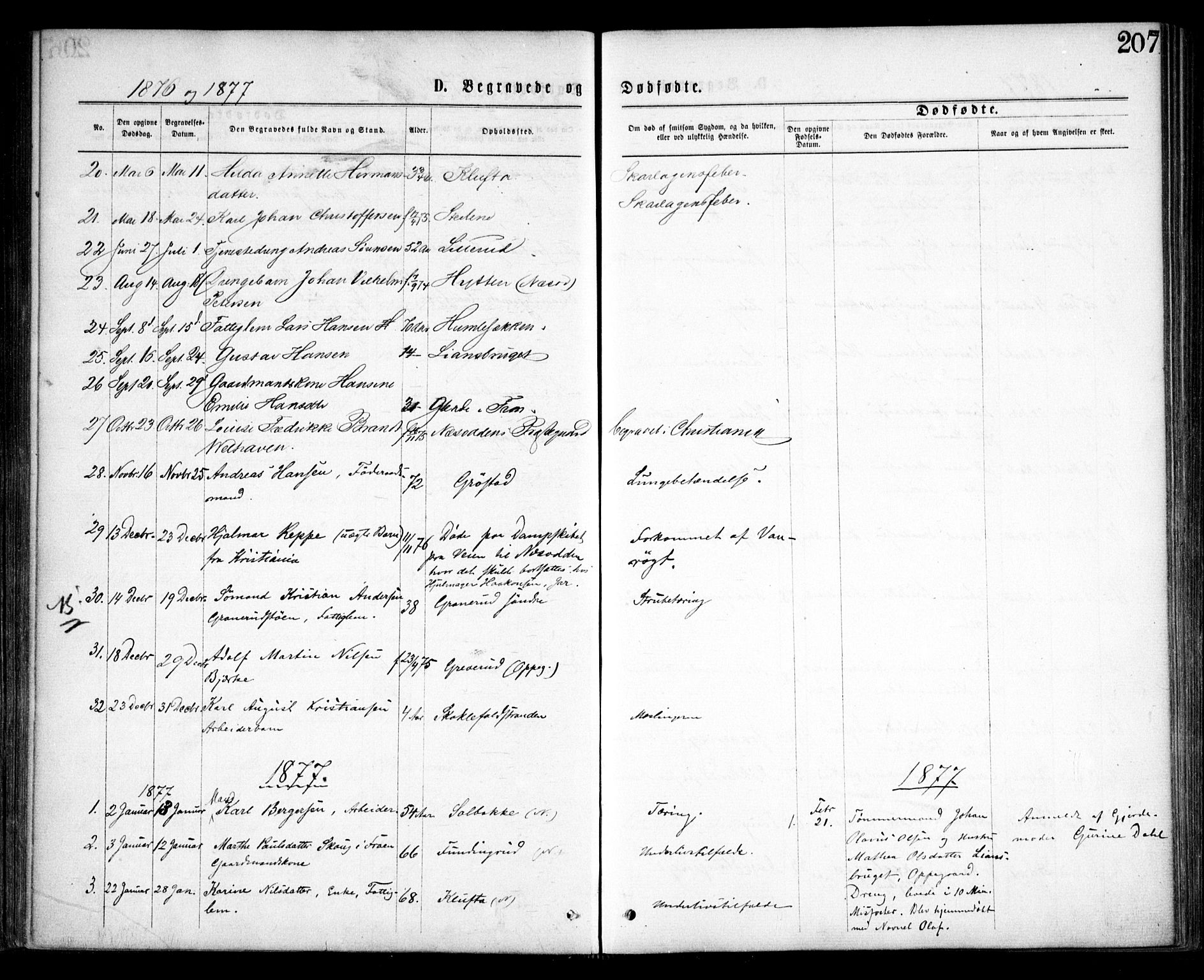 Nesodden prestekontor Kirkebøker, AV/SAO-A-10013/F/Fa/L0008: Parish register (official) no. I 8, 1869-1879, p. 207