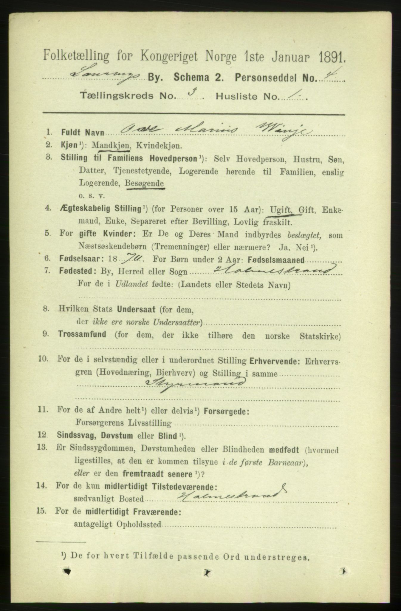 RA, 1891 census for 0707 Larvik, 1891, p. 4125