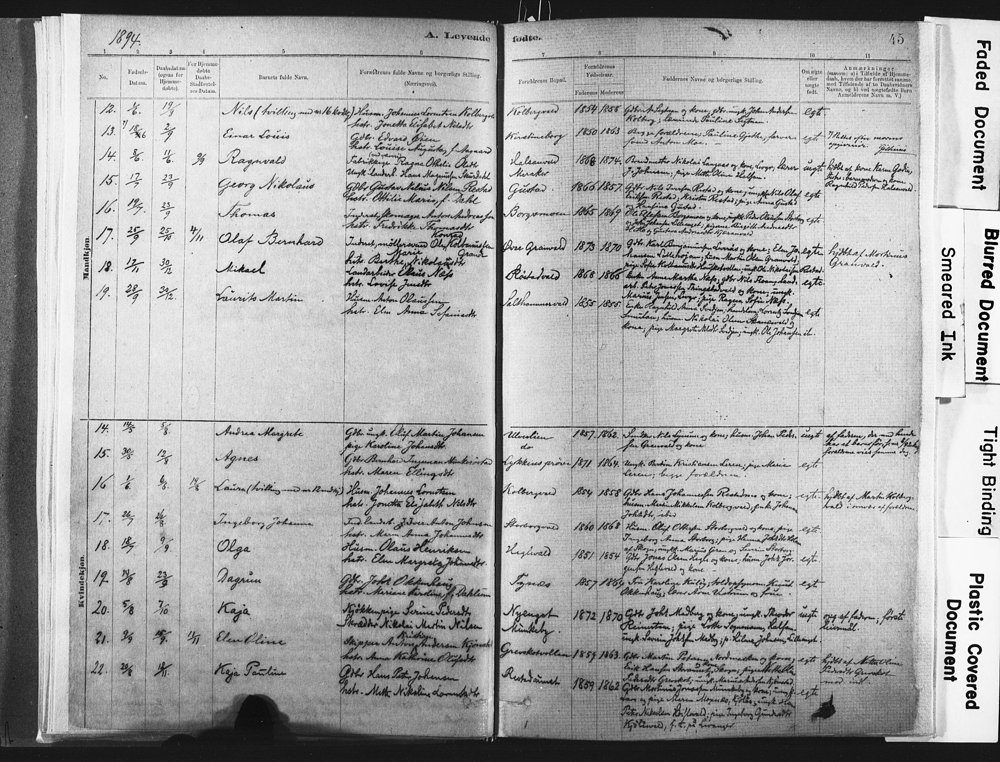 Ministerialprotokoller, klokkerbøker og fødselsregistre - Nord-Trøndelag, SAT/A-1458/721/L0207: Parish register (official) no. 721A02, 1880-1911, p. 45