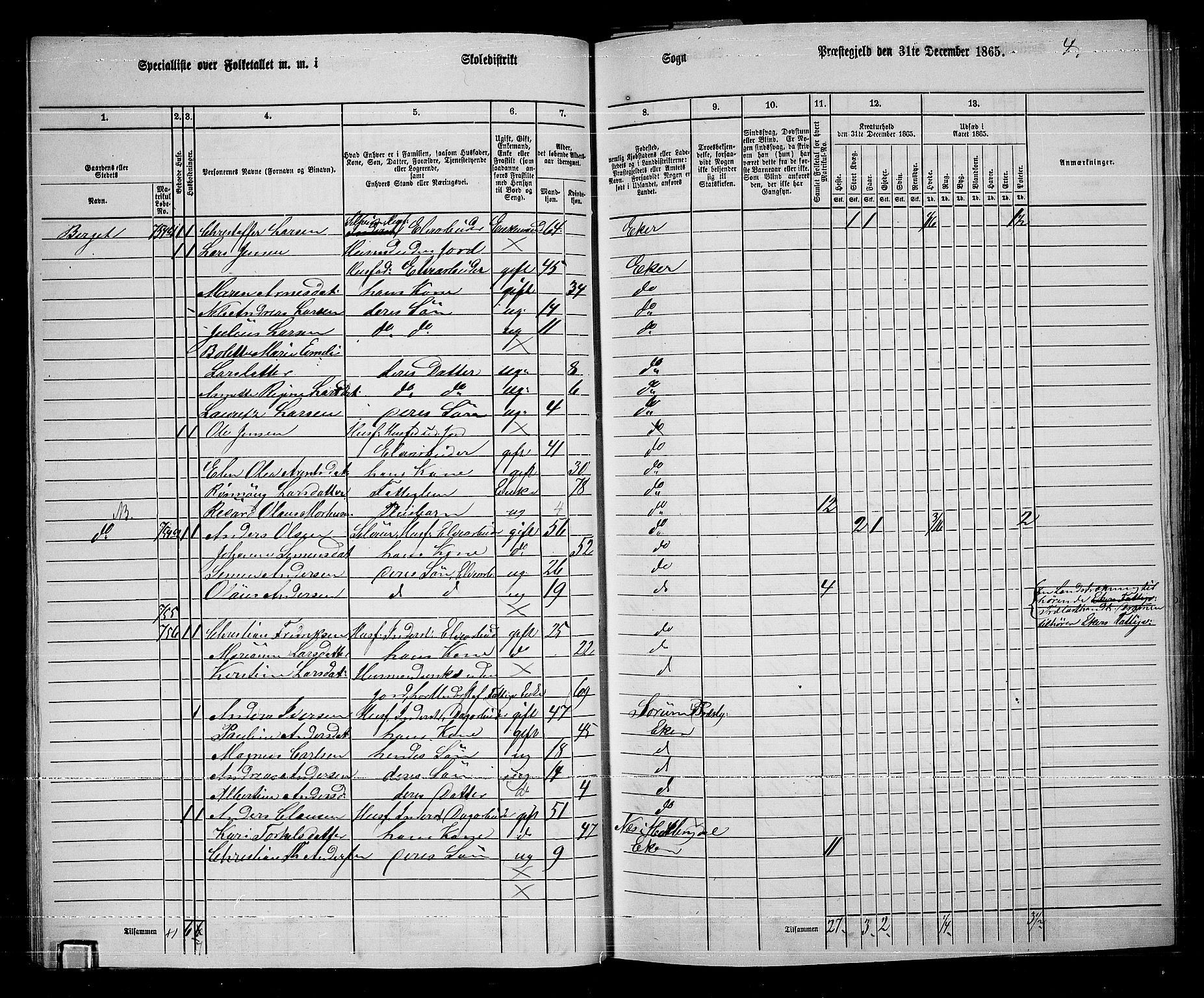 RA, 1865 census for Eiker, 1865, p. 317