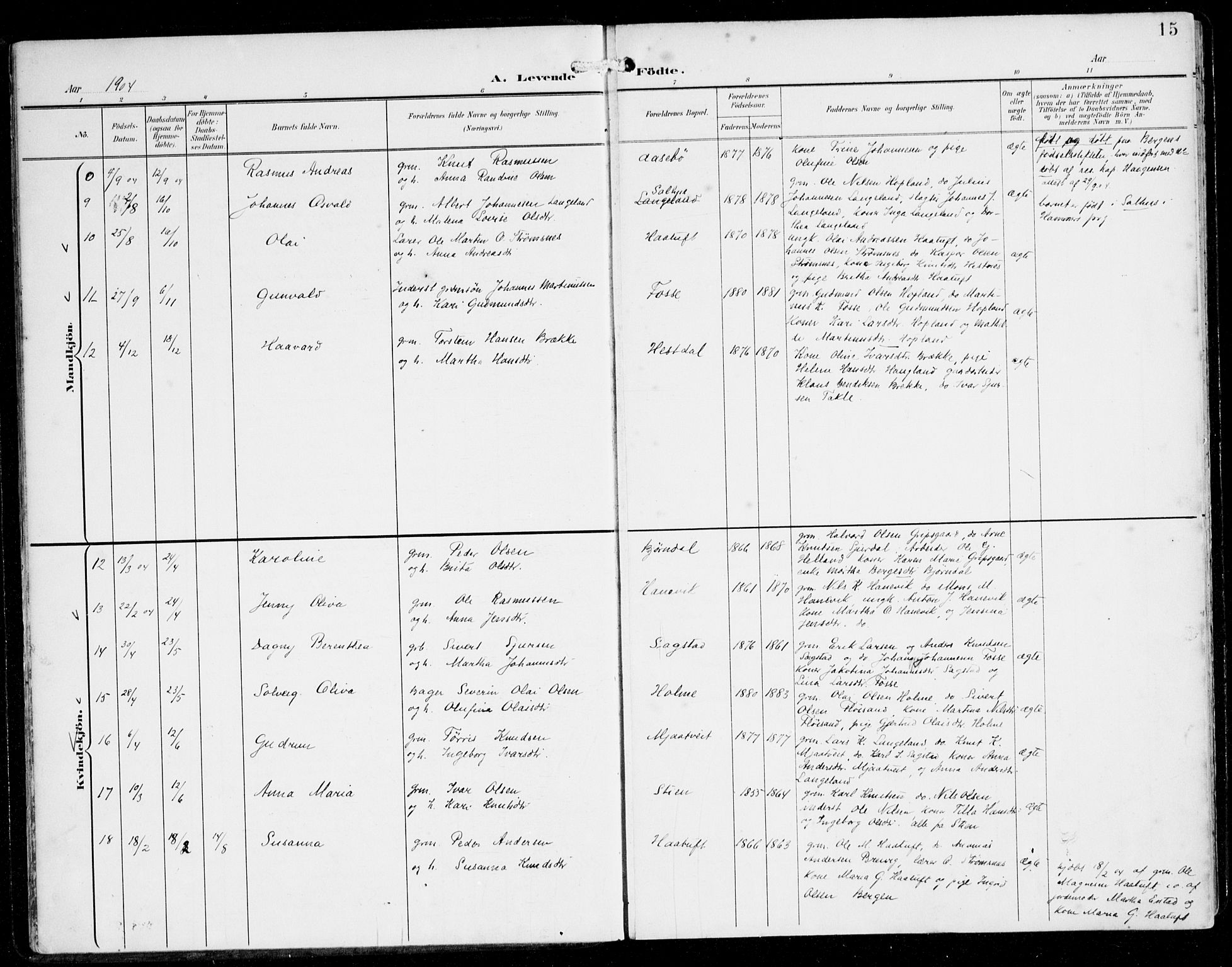 Alversund Sokneprestembete, AV/SAB-A-73901/H/Ha/Haa/Haac/L0002: Parish register (official) no. C 2, 1901-1921, p. 15