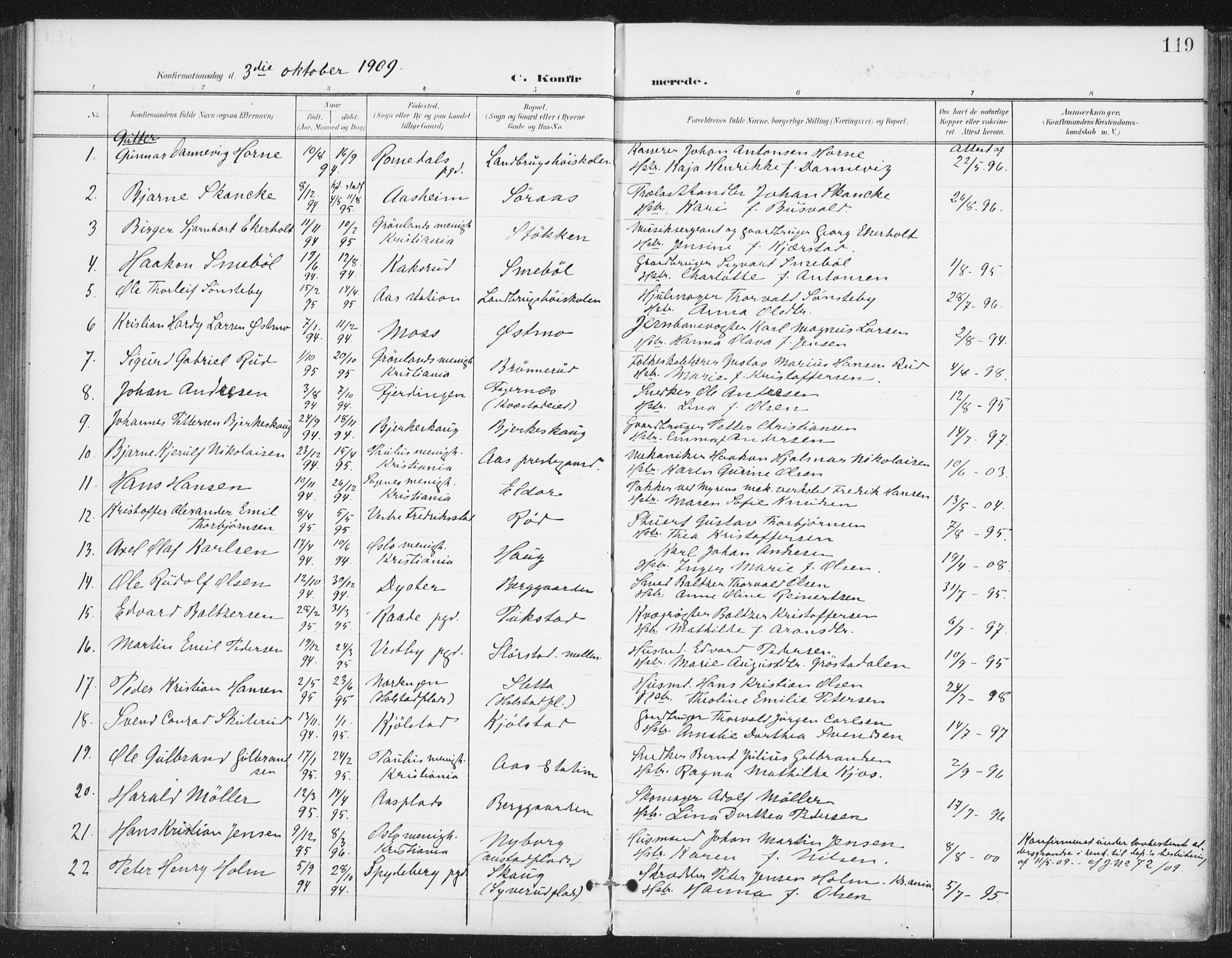Ås prestekontor Kirkebøker, SAO/A-10894/F/Fa/L0010: Parish register (official) no. I 10, 1900-1918, p. 119