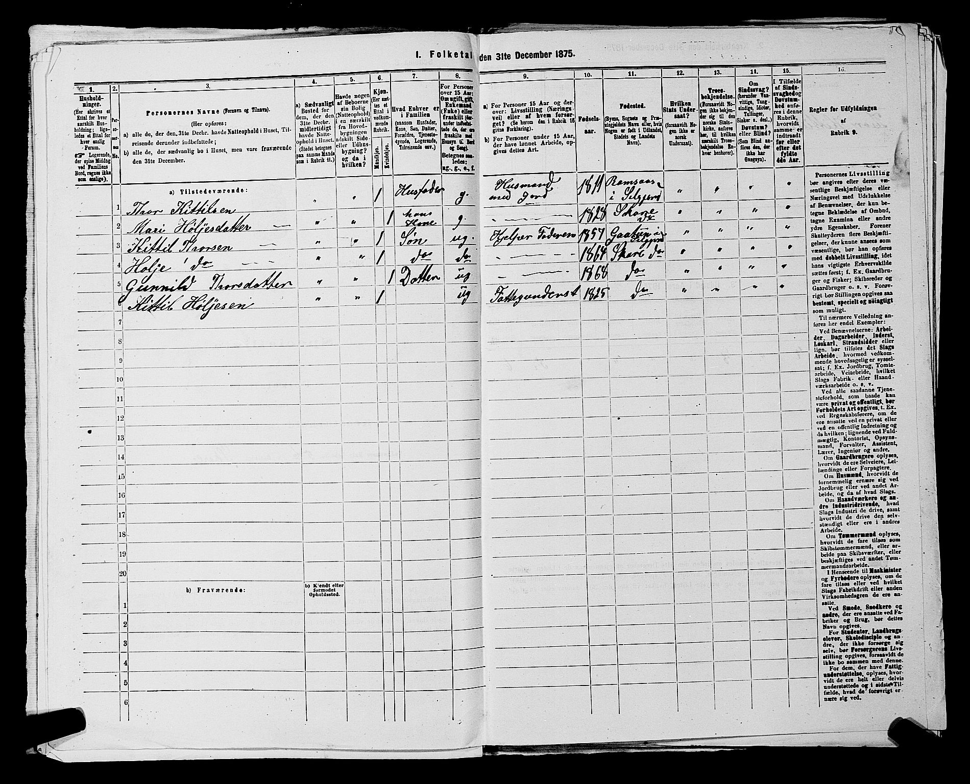 SAKO, 1875 census for 0828P Seljord, 1875, p. 335