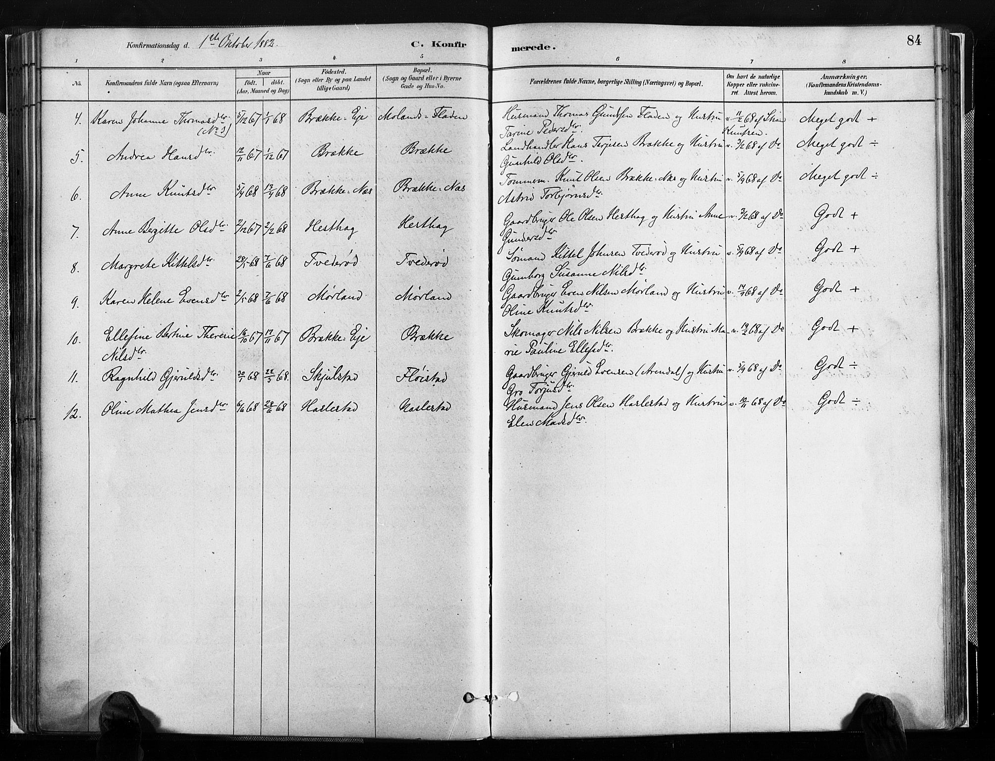 Austre Moland sokneprestkontor, SAK/1111-0001/F/Fa/Faa/L0010: Parish register (official) no. A 10, 1880-1904, p. 84