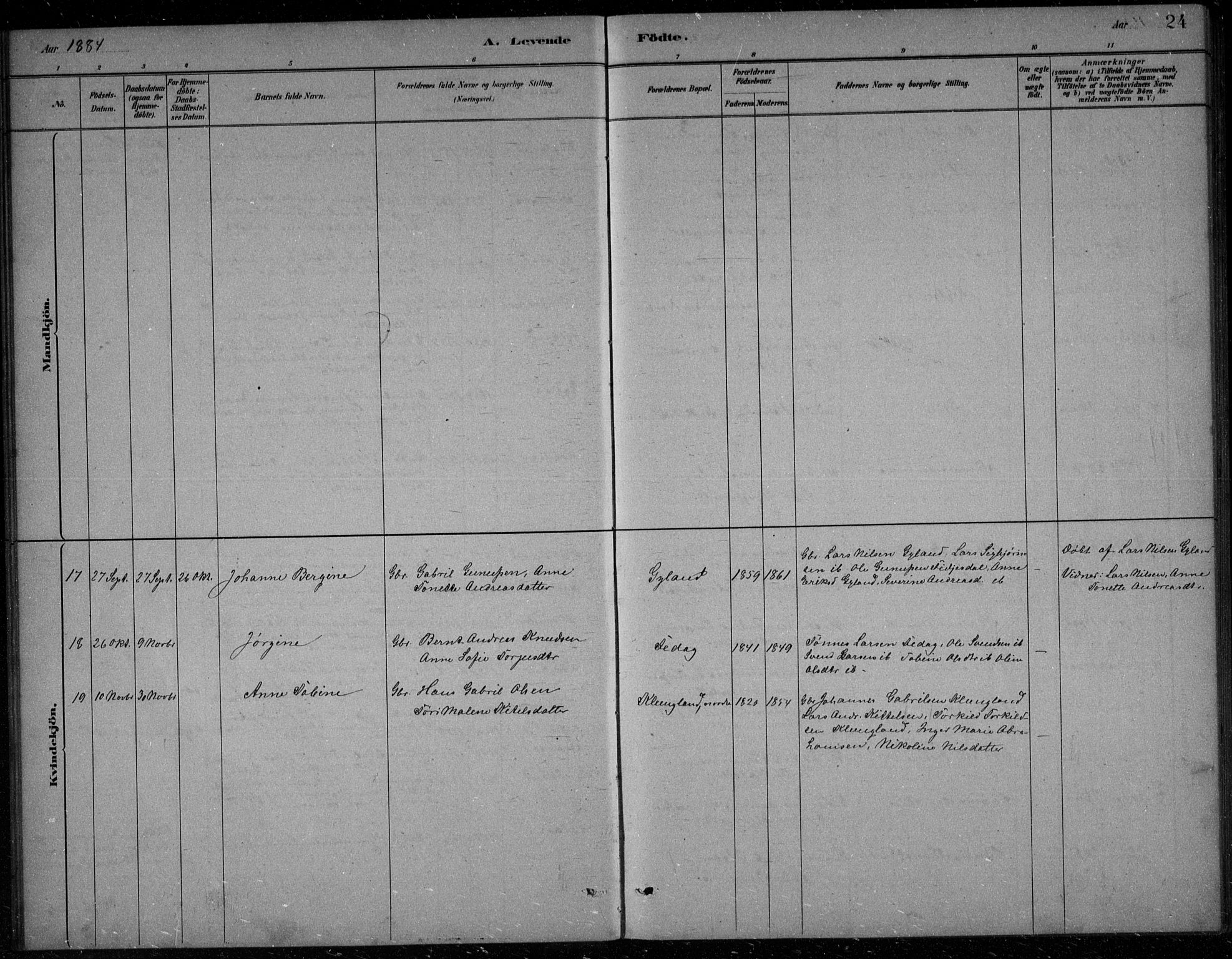Bakke sokneprestkontor, AV/SAK-1111-0002/F/Fb/Fbb/L0003: Parish register (copy) no. B 3, 1878-1896, p. 24