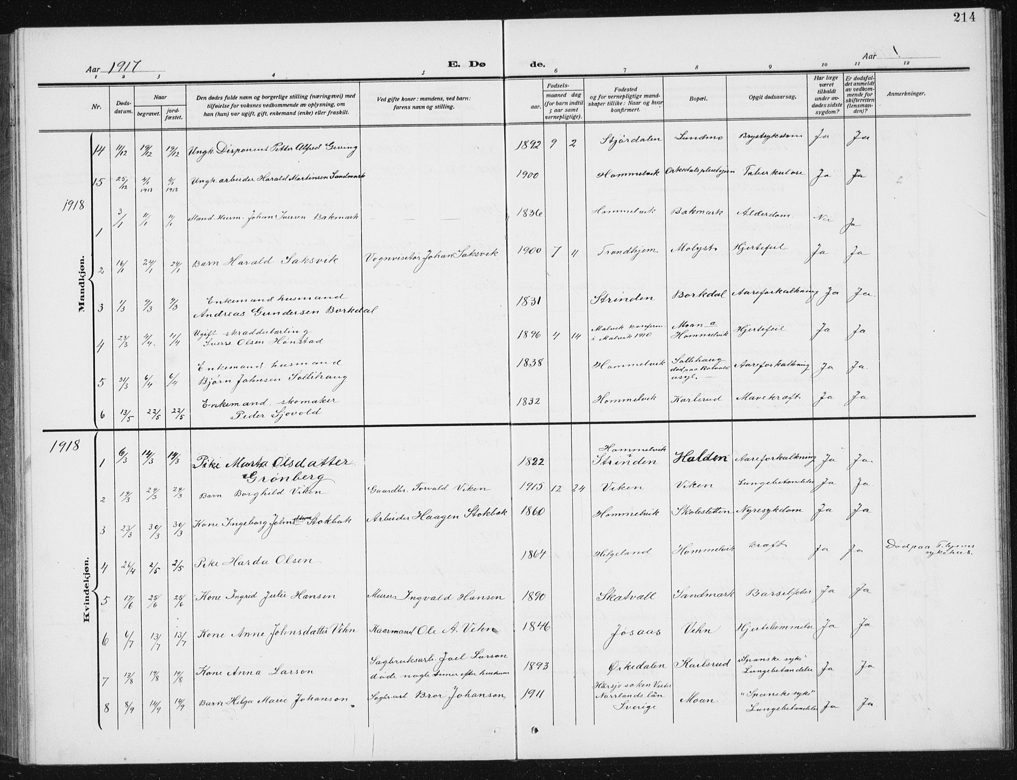 Ministerialprotokoller, klokkerbøker og fødselsregistre - Sør-Trøndelag, AV/SAT-A-1456/617/L0431: Parish register (copy) no. 617C02, 1910-1936, p. 214