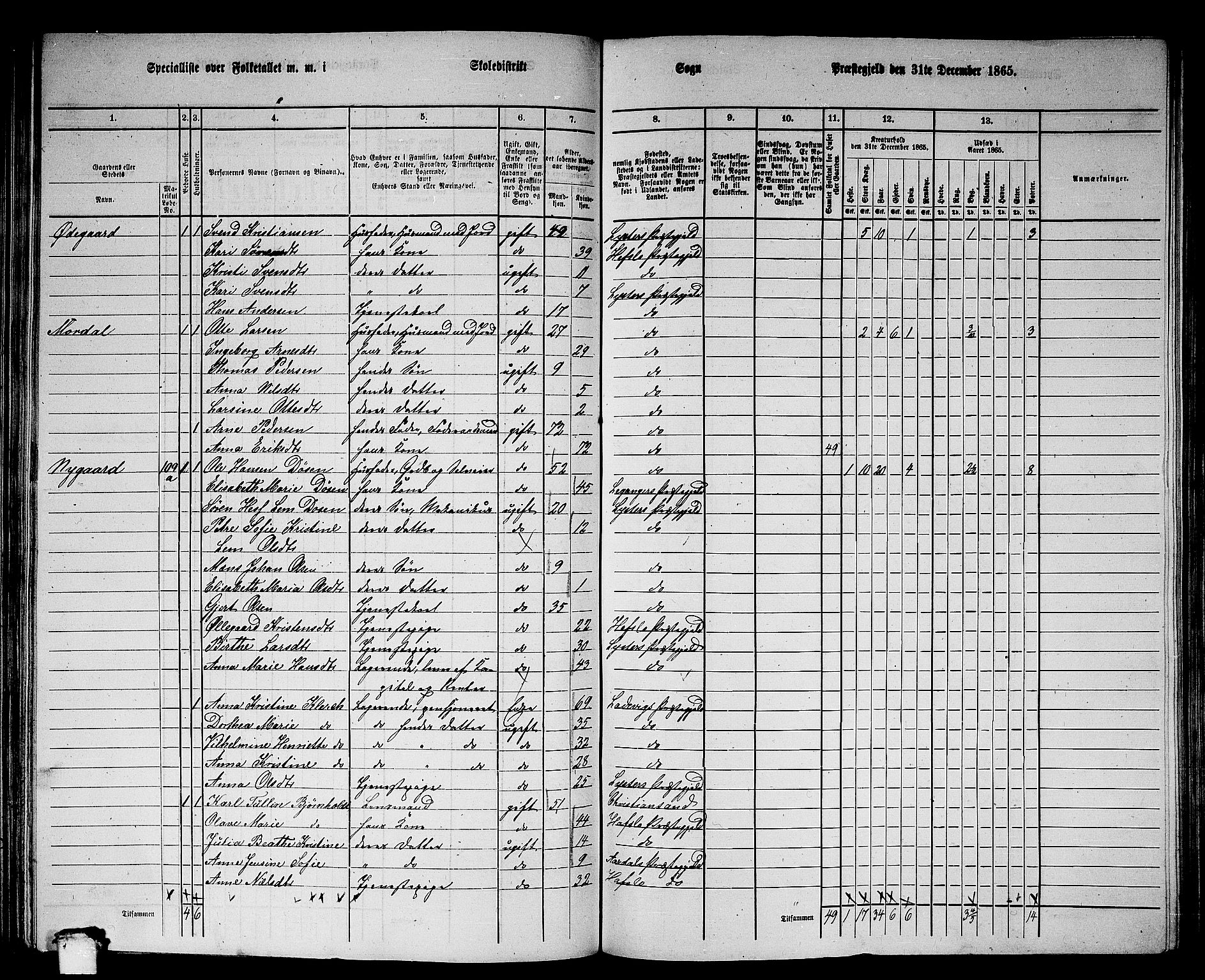 RA, 1865 census for Luster, 1865, p. 99