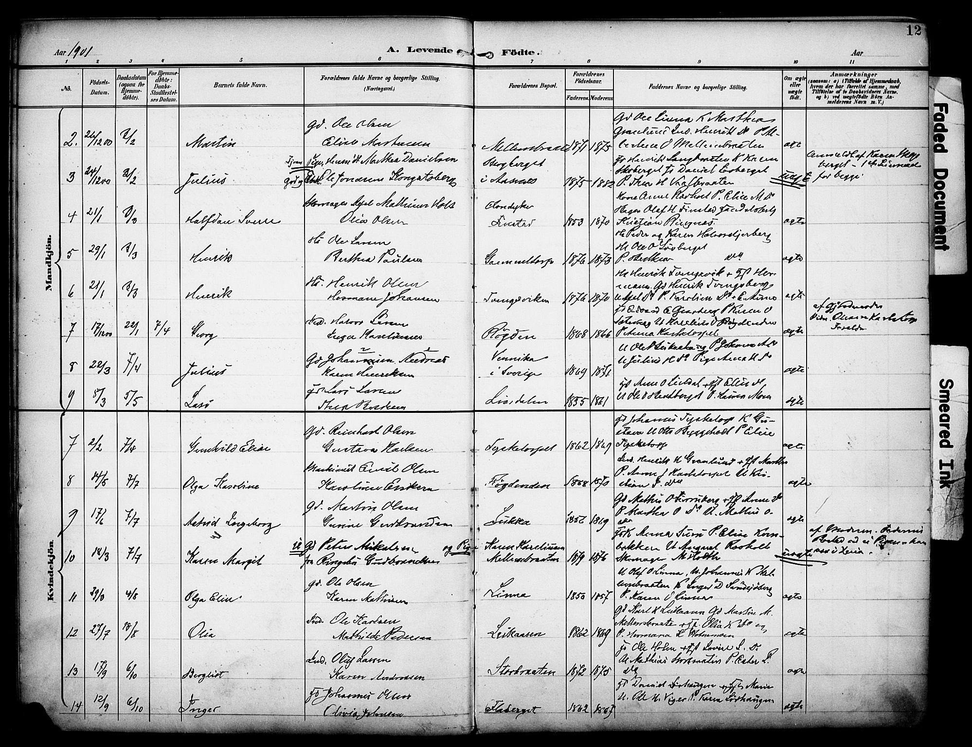 Grue prestekontor, AV/SAH-PREST-036/H/Ha/Haa/L0014: Parish register (official) no. 14, 1898-1915, p. 12