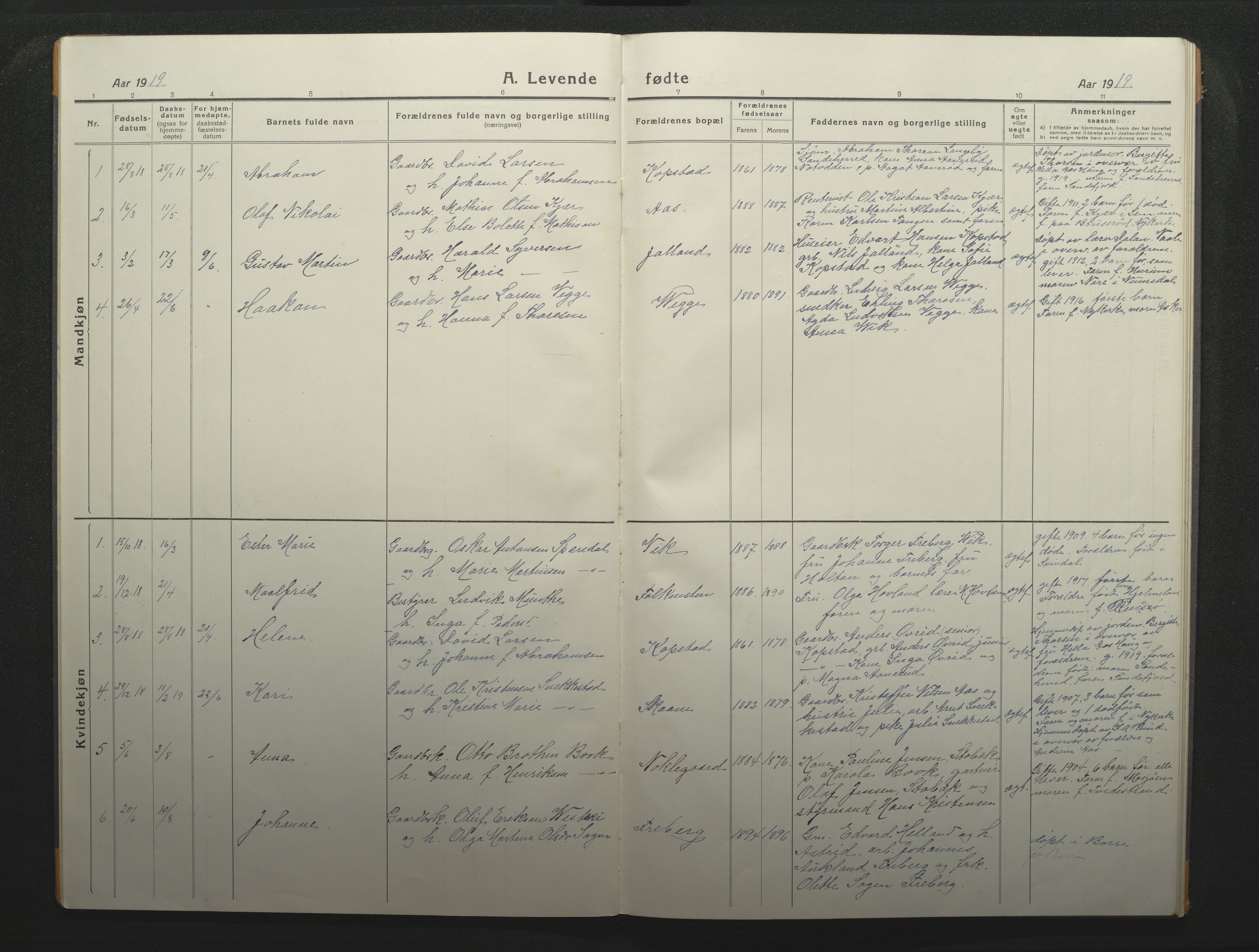 Borre kirkebøker, SAKO/A-338/F/Fc/L0004: Parish register (official) no. III 4, 1918-1925