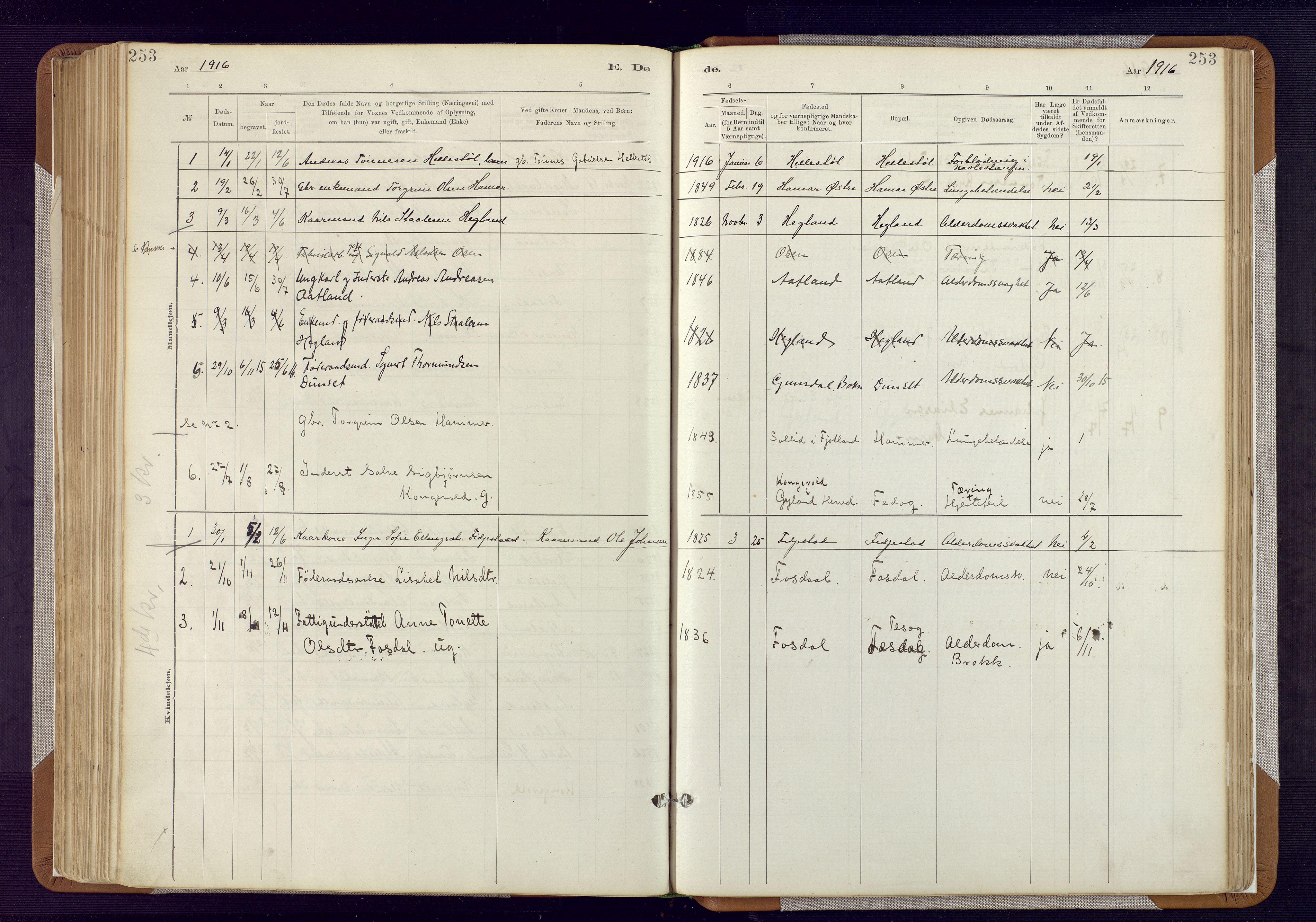 Bakke sokneprestkontor, SAK/1111-0002/F/Fa/Fab/L0003: Parish register (official) no. A 3, 1884-1921, p. 253