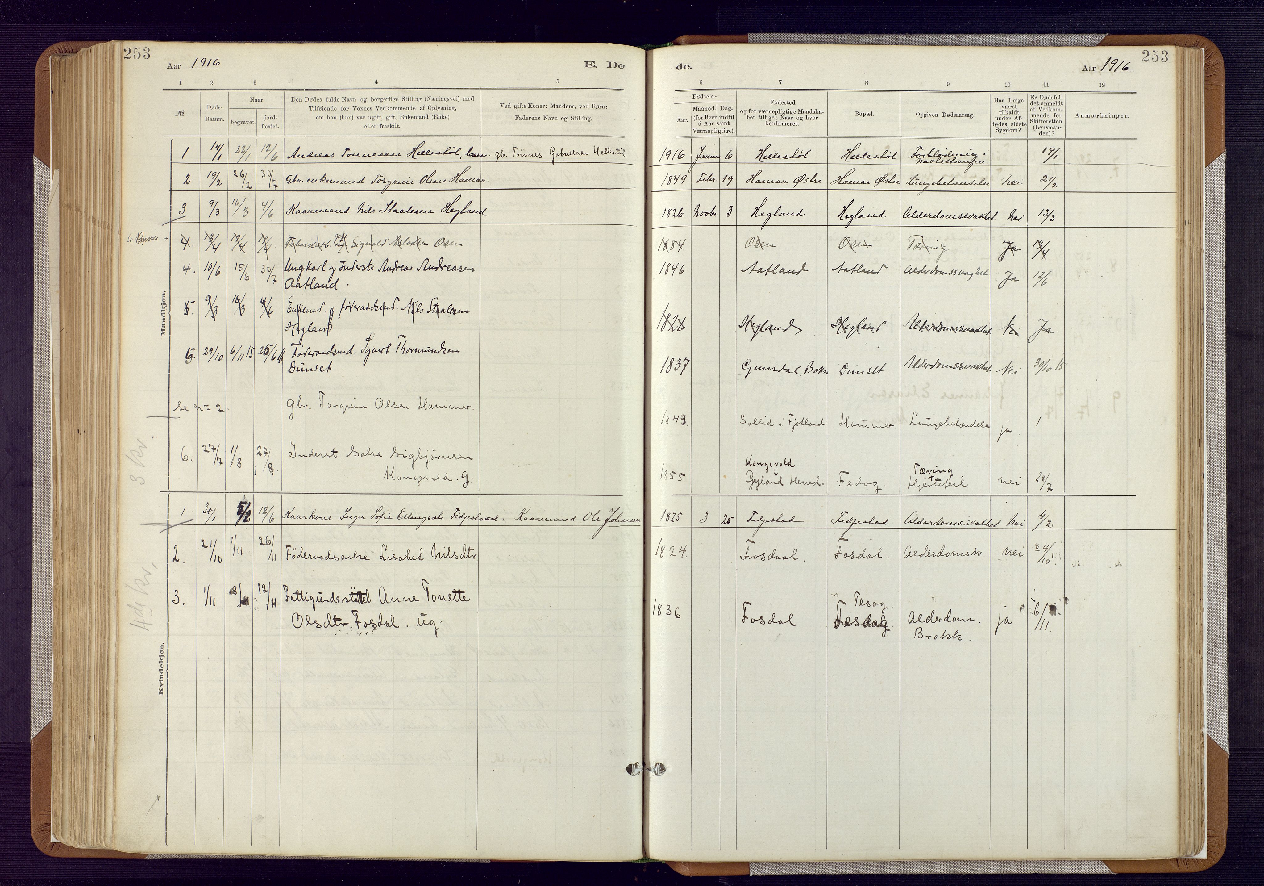 Bakke sokneprestkontor, AV/SAK-1111-0002/F/Fa/Fab/L0003: Parish register (official) no. A 3, 1884-1921, p. 253