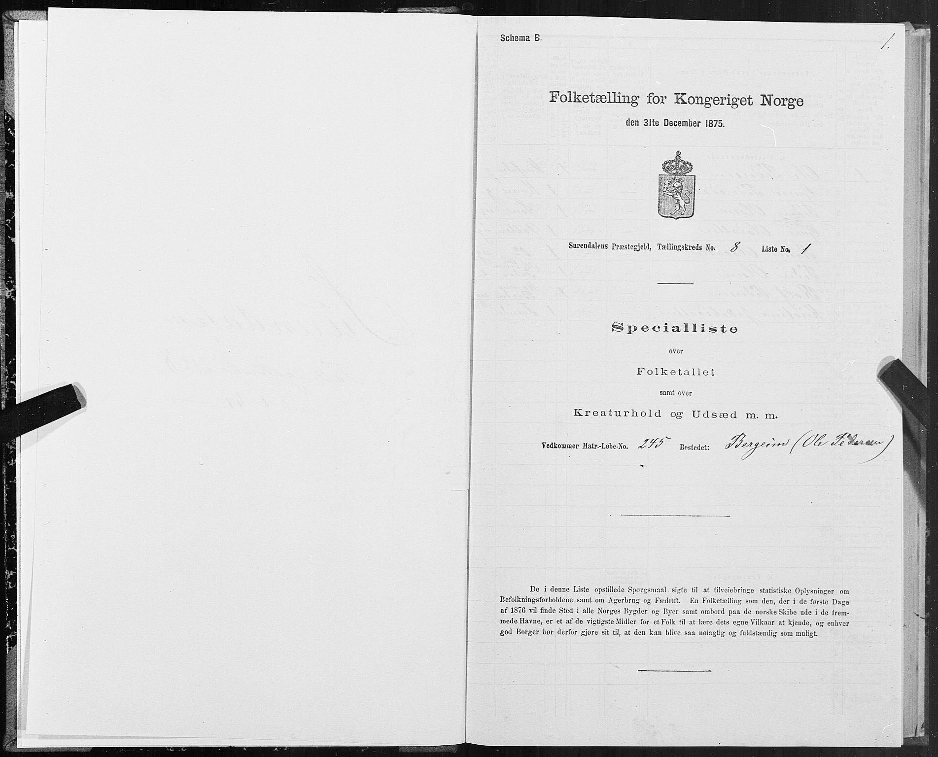 SAT, 1875 census for 1566P Surnadal, 1875, p. 4001