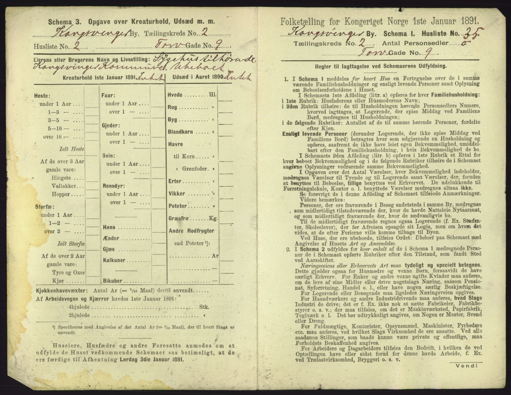 RA, 1891 census for 0402 Kongsvinger, 1891, p. 199