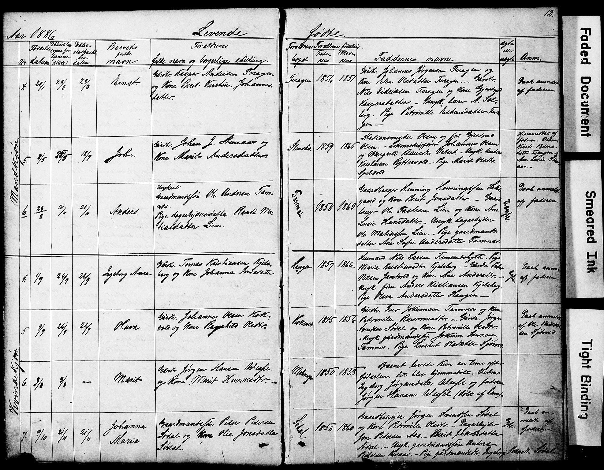 Ministerialprotokoller, klokkerbøker og fødselsregistre - Sør-Trøndelag, SAT/A-1456/683/L0949: Parish register (copy) no. 683C01, 1880-1896, p. 12