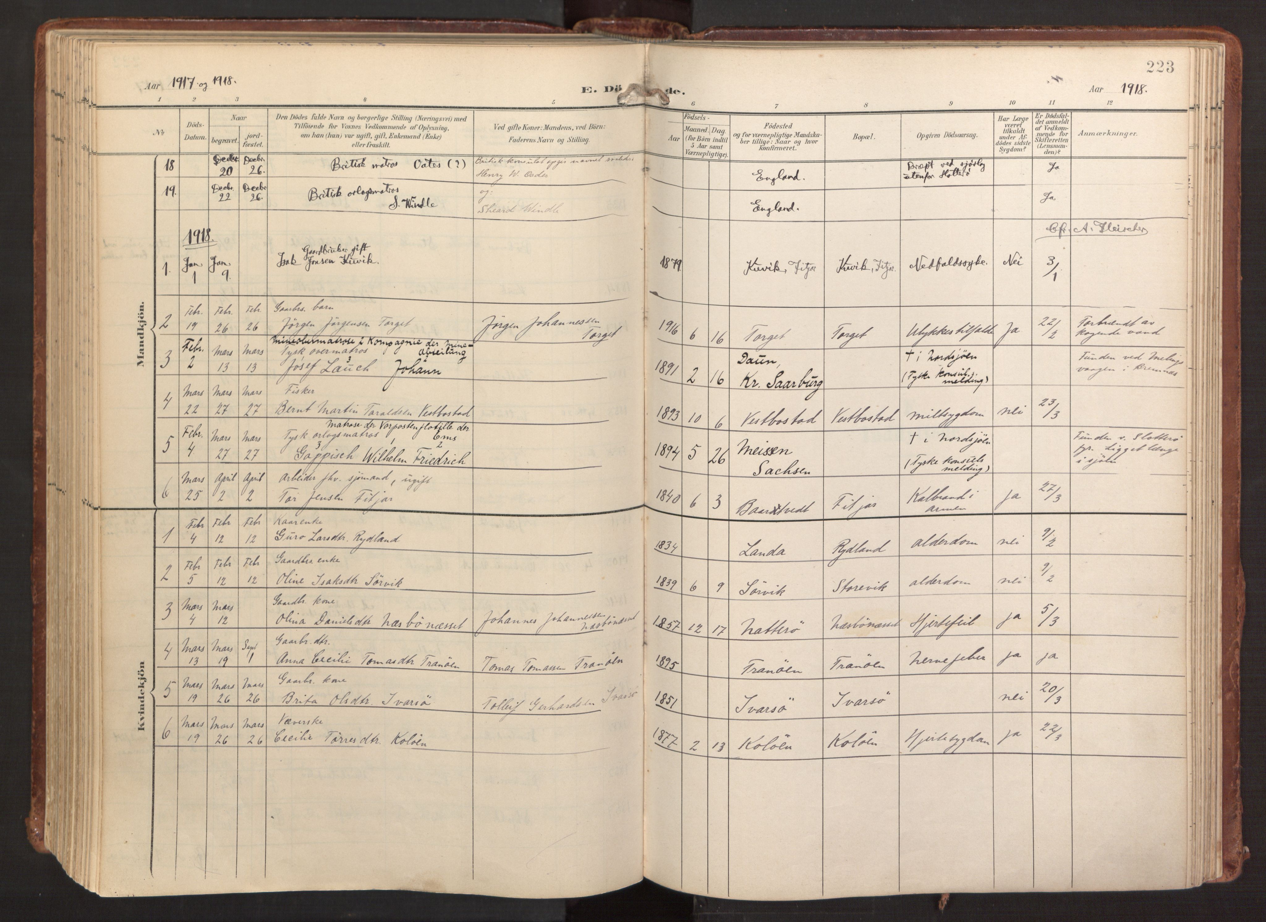 Fitjar sokneprestembete, SAB/A-99926: Parish register (official) no. A 3, 1900-1918, p. 223