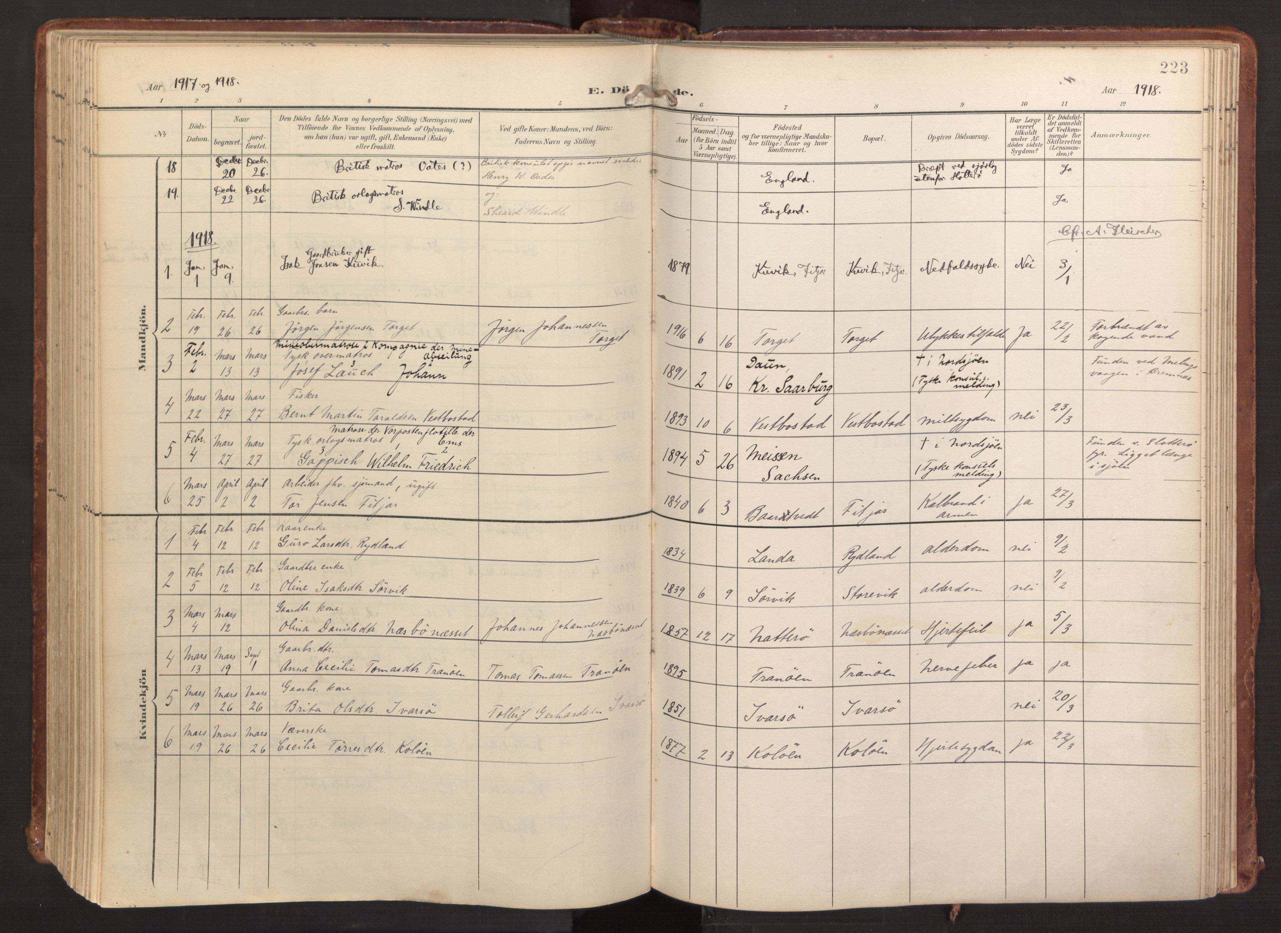 Fitjar sokneprestembete, AV/SAB-A-99926: Parish register (official) no. A 3, 1900-1918, p. 223