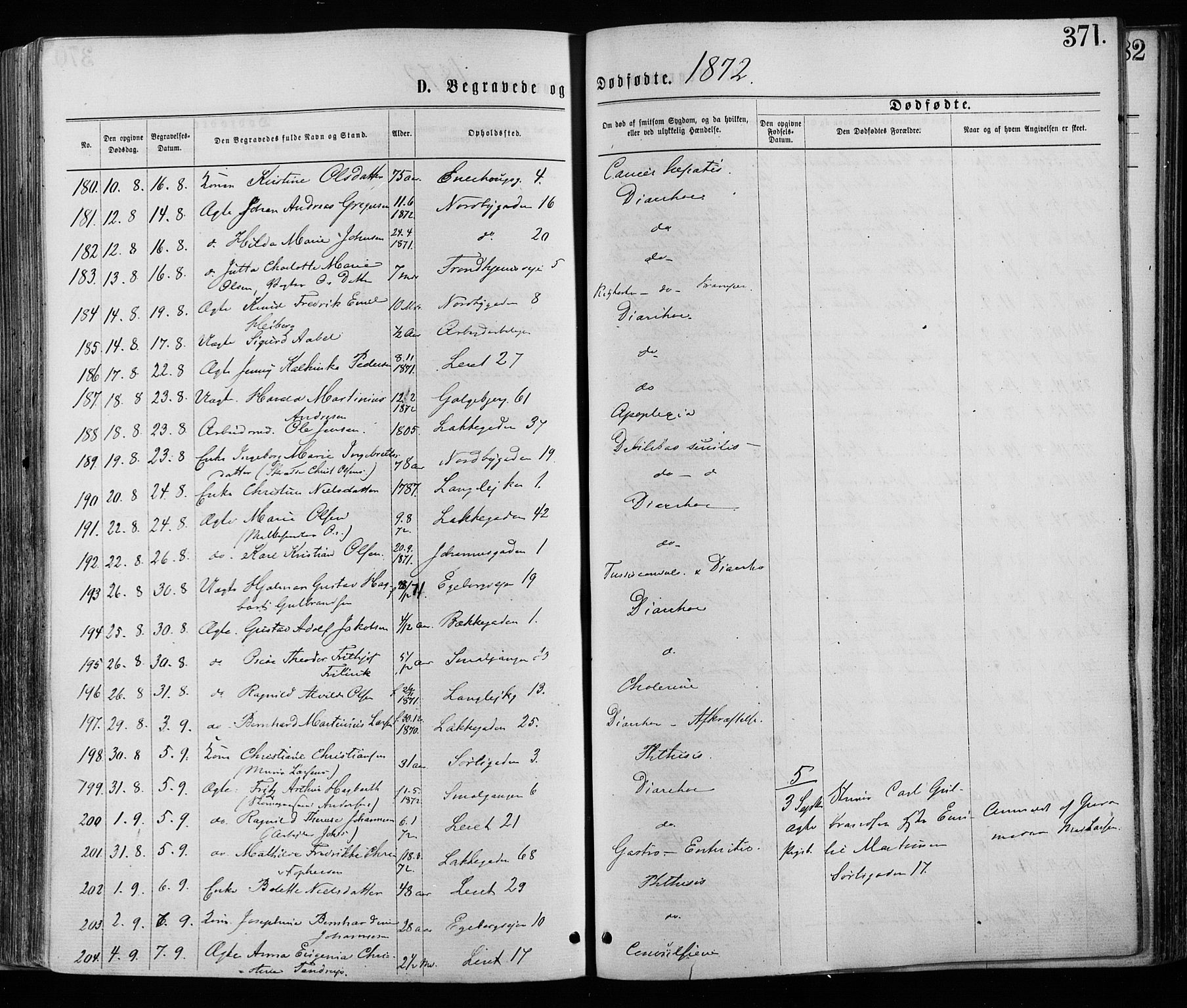 Grønland prestekontor Kirkebøker, AV/SAO-A-10848/F/Fa/L0005: Parish register (official) no. 5, 1869-1880, p. 371