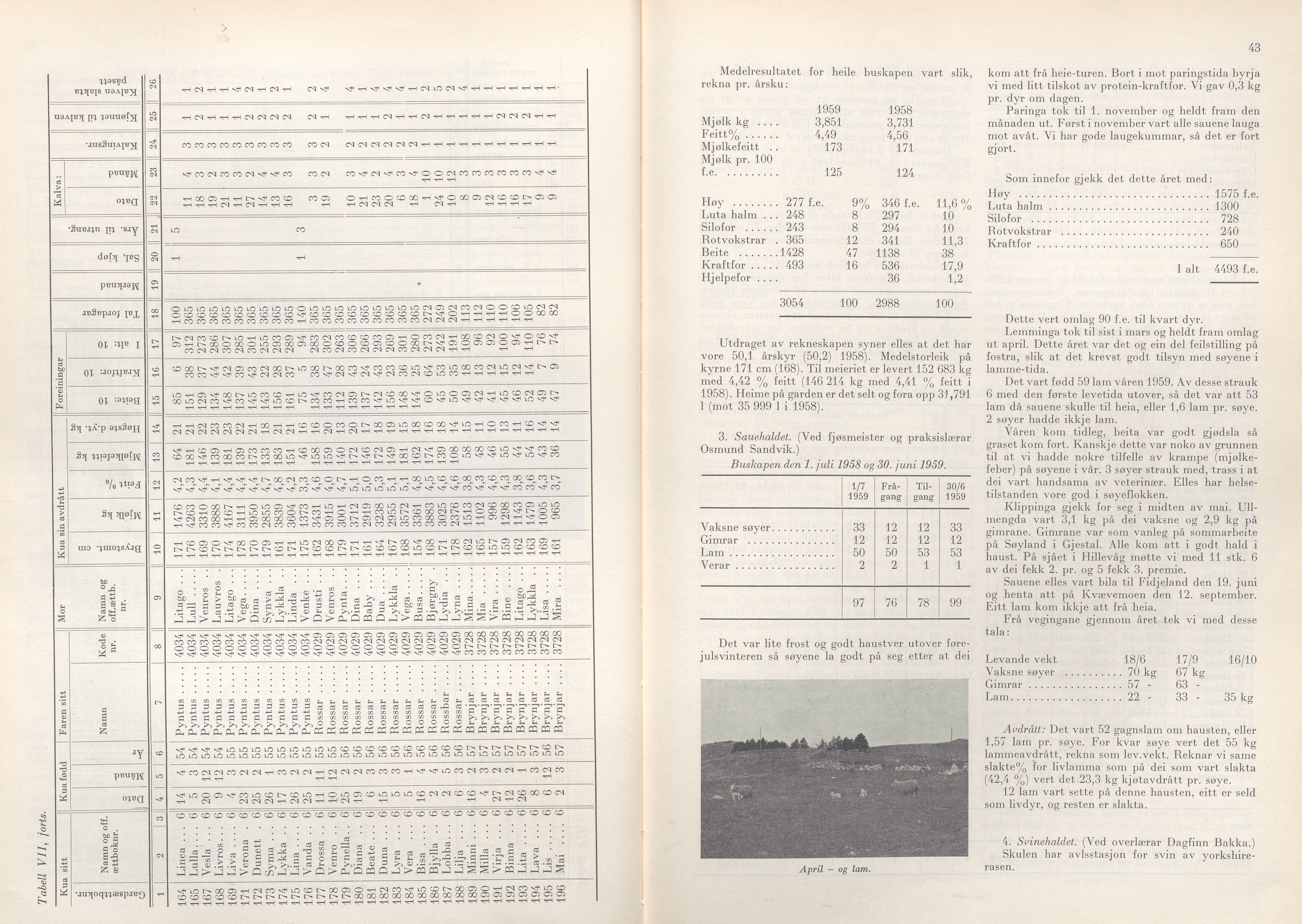 Rogaland fylkeskommune - Fylkesrådmannen , IKAR/A-900/A/Aa/Aaa/L0079: Møtebok , 1960, p. 42-43